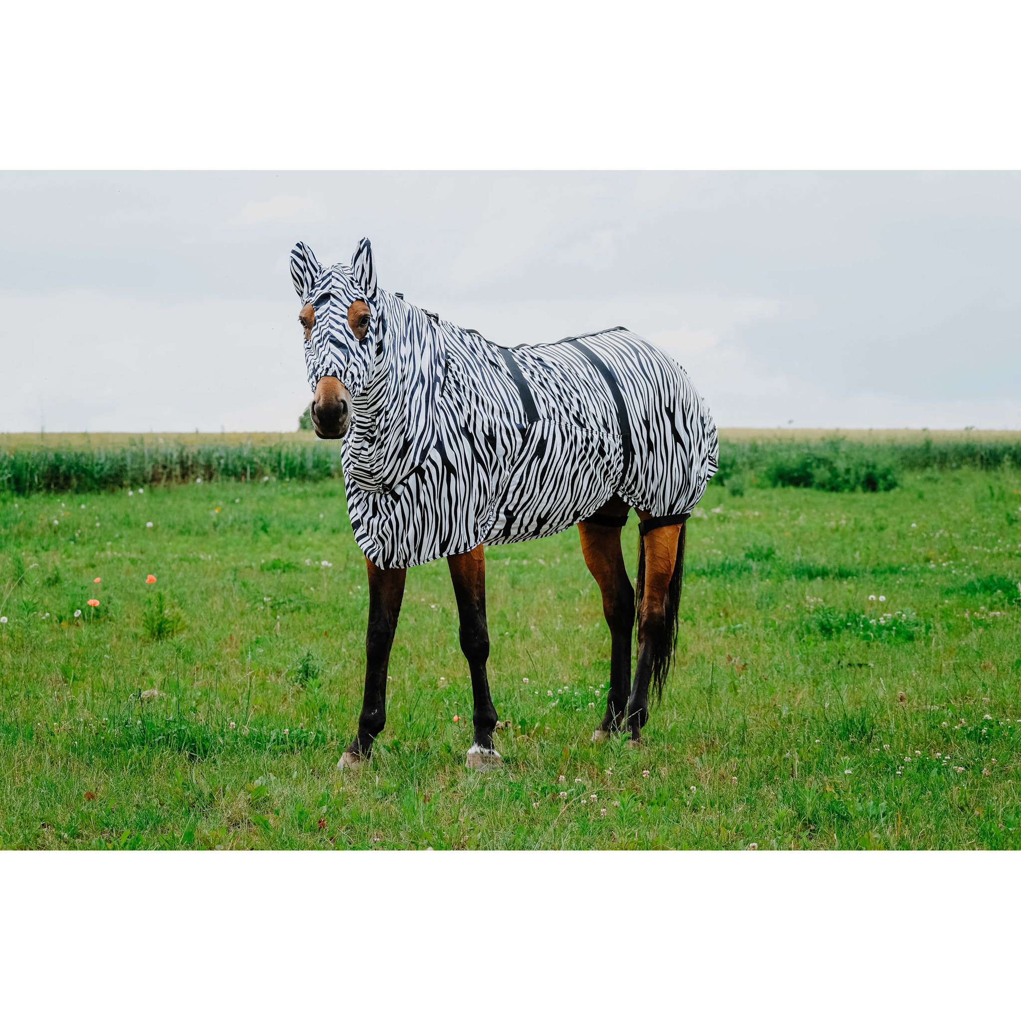 Riding World Anti-eczema Fly Mask Zebra 400122203