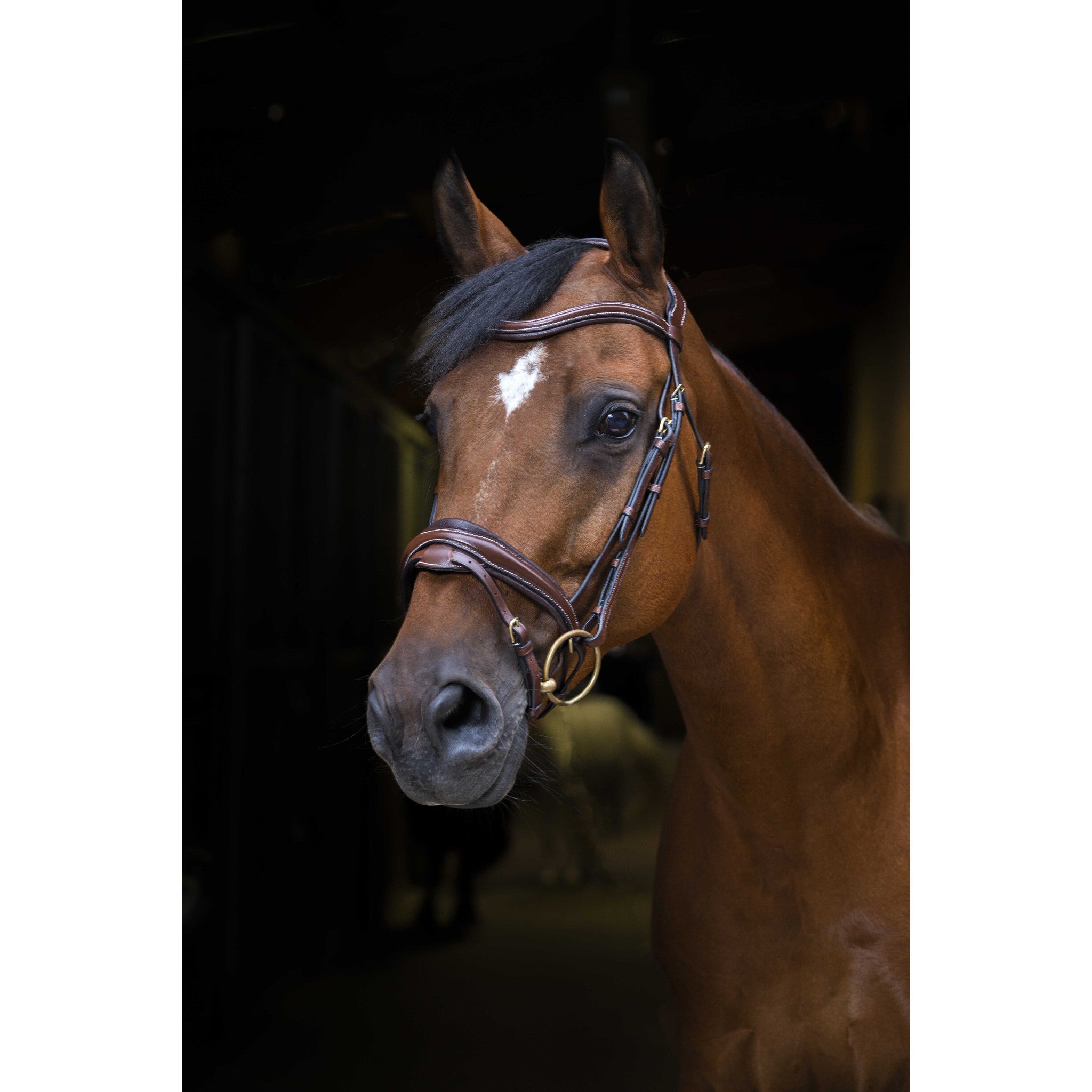 Éric Thomas Pro Design Bridle Havana 307702318