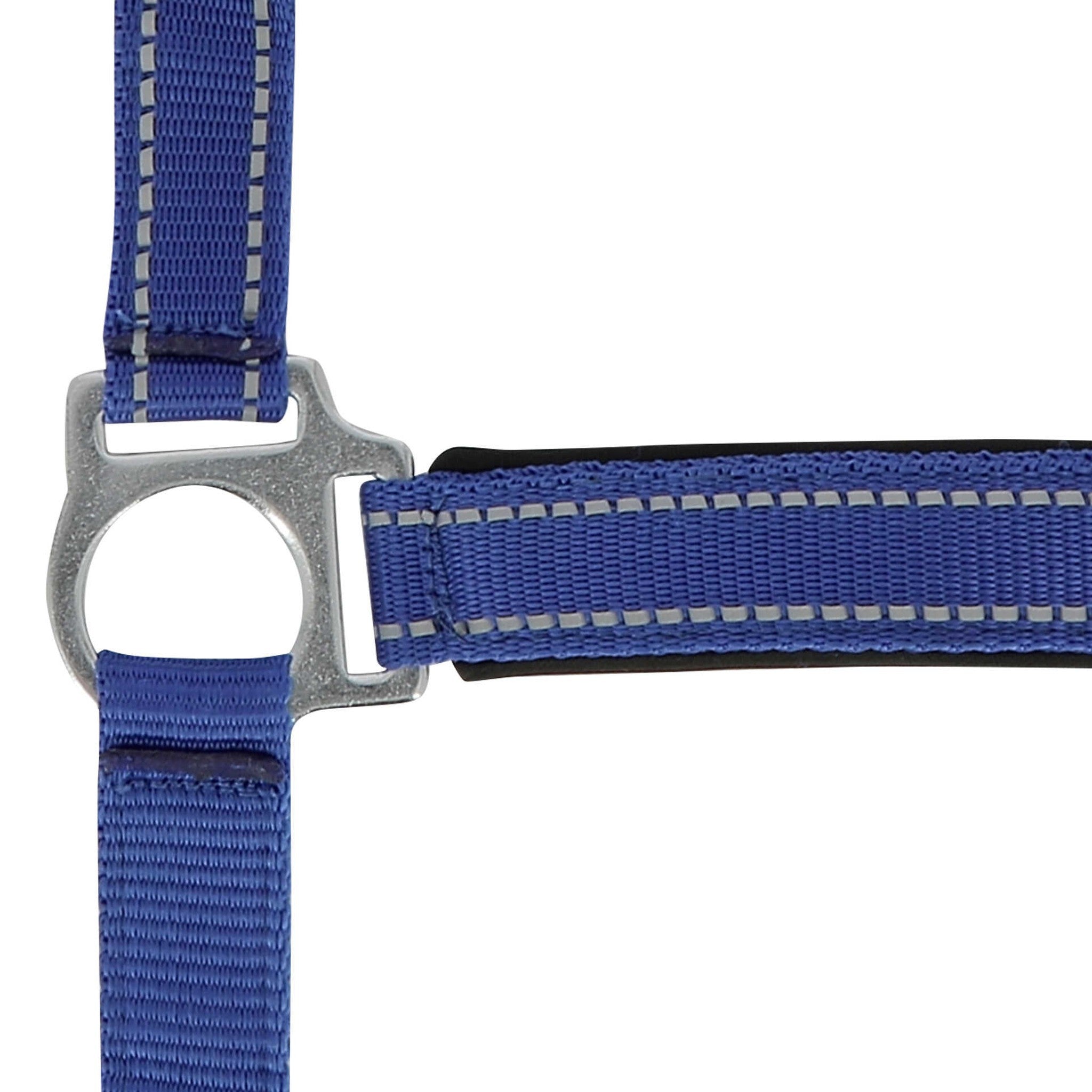 Norton Reflective halter Blue 510630306