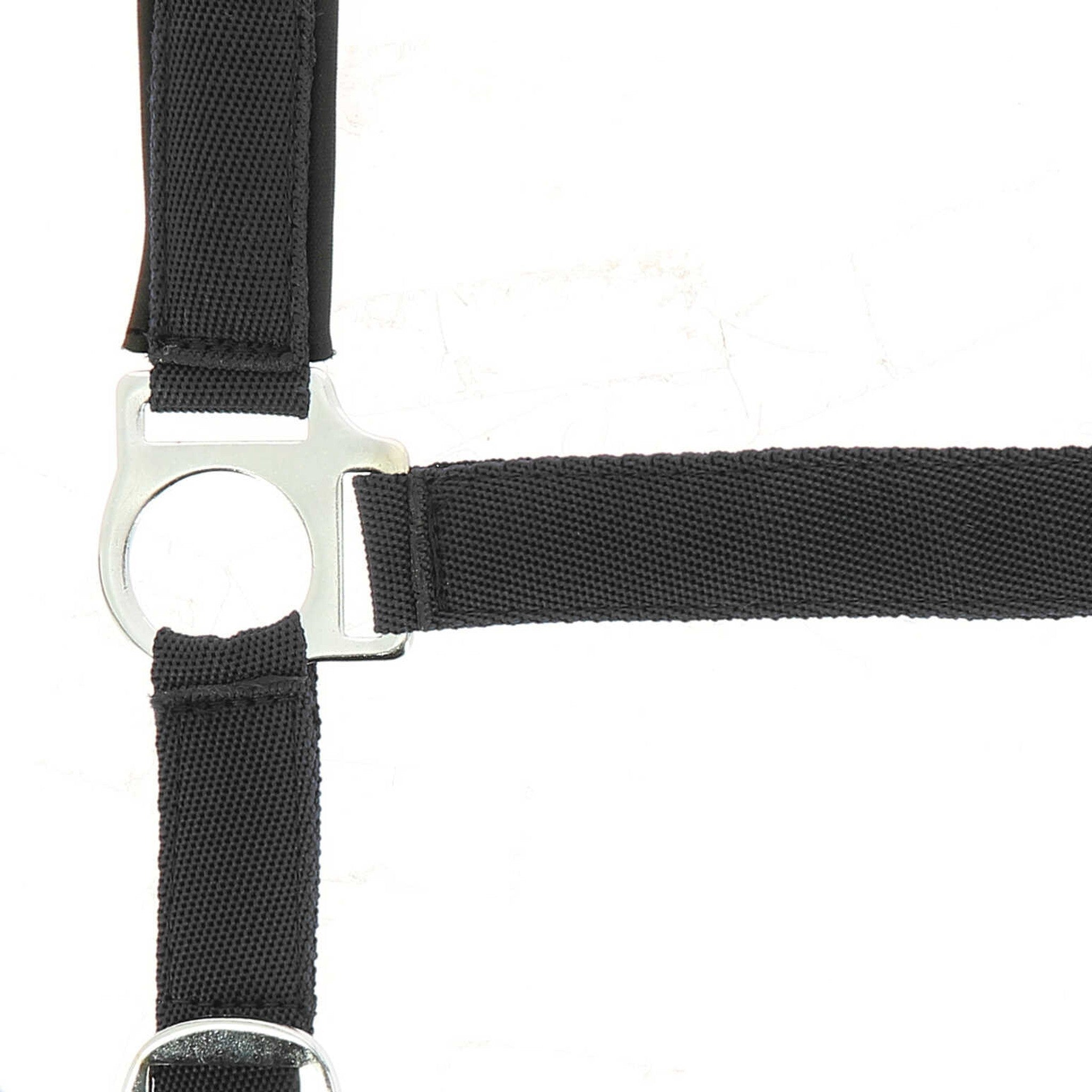 Norton nylon and neoprene lined Halter Black 510494202