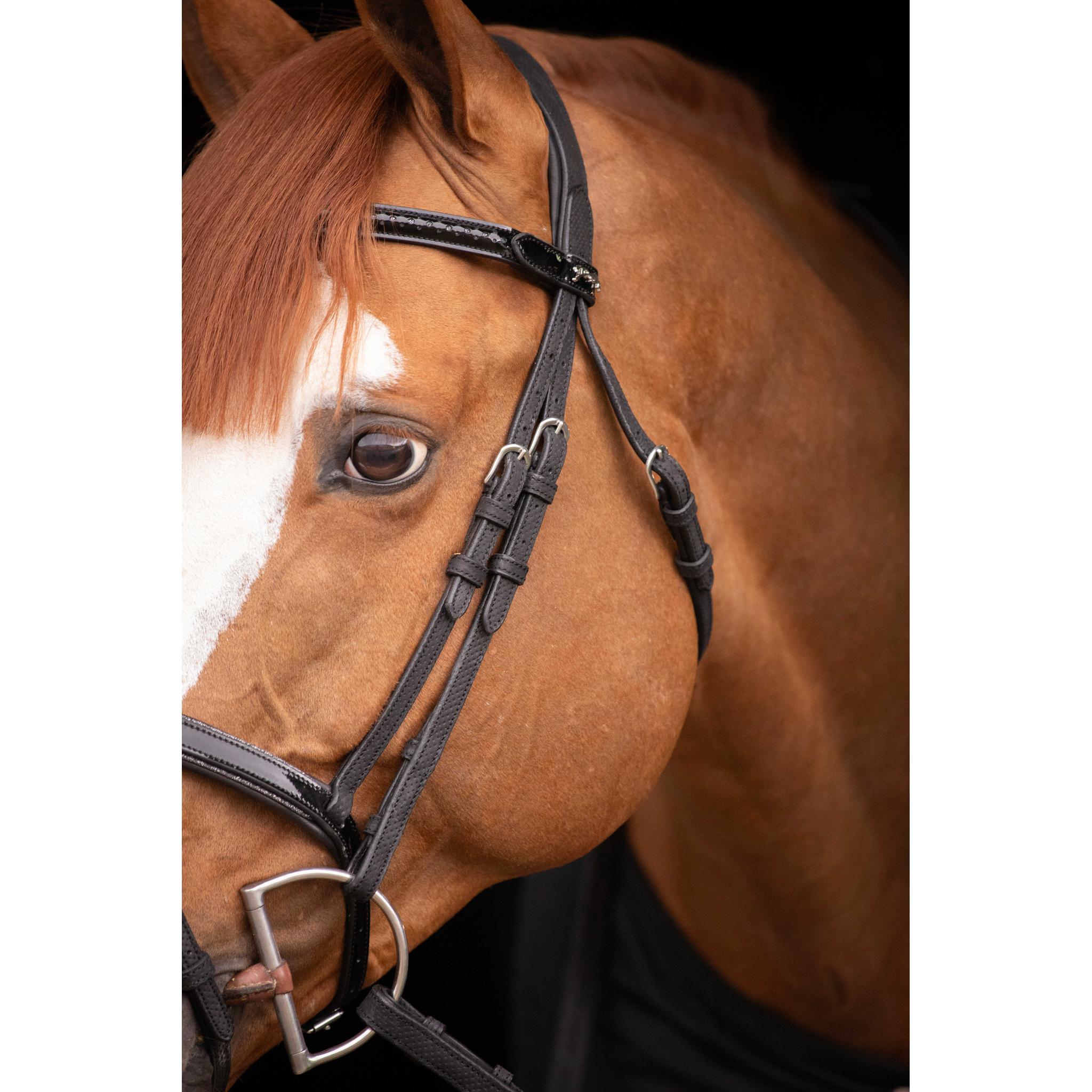 Penelope Oxford Bridle Black - 301608302_ambi_8
