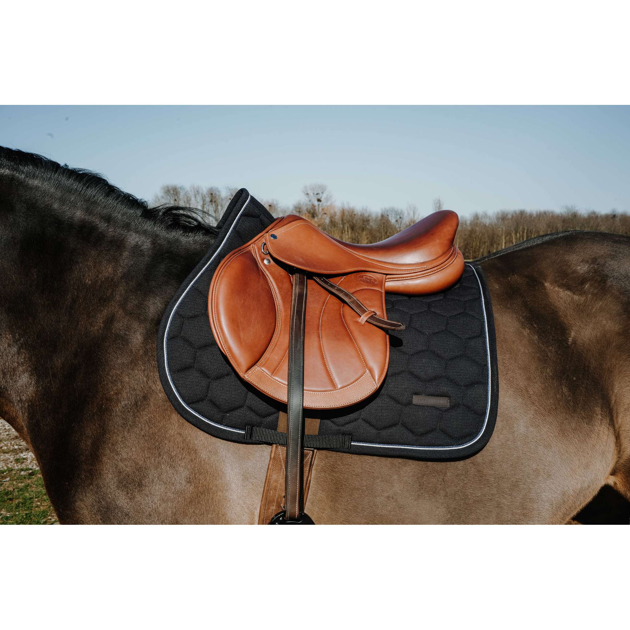 EQUITHÈME All-Purpose Saddle Pad - Honey Black - 204028002_ambi_1