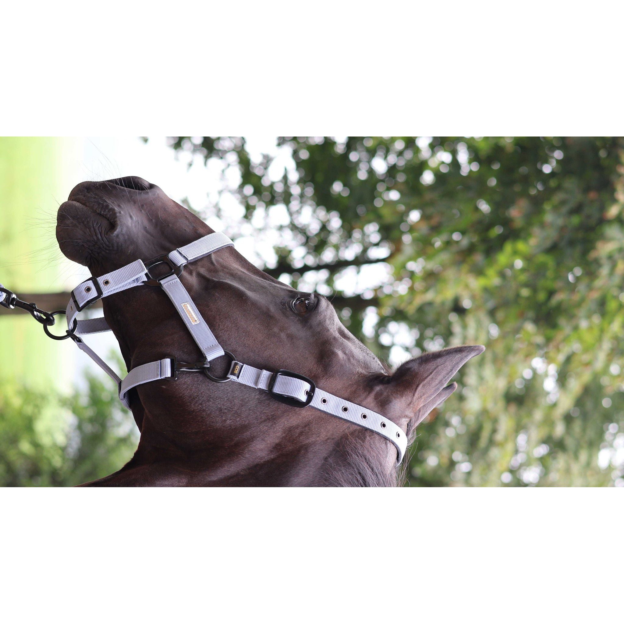 Lami-Cell Midnight Halter Dark grey 555027230