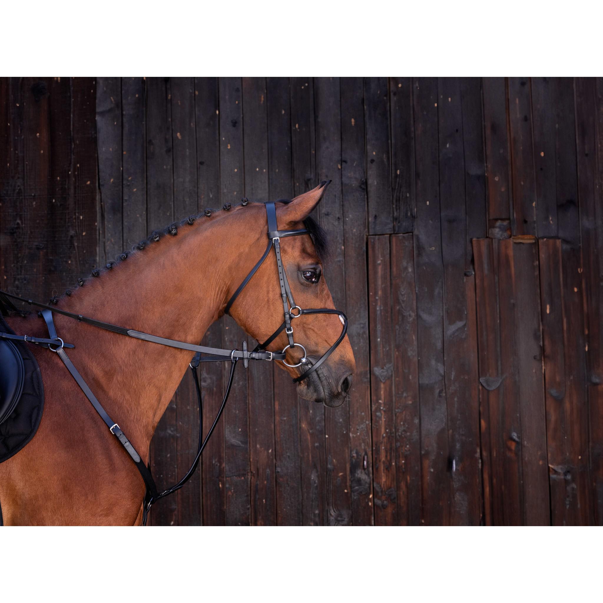 Running martingale Riding World Black 306121302