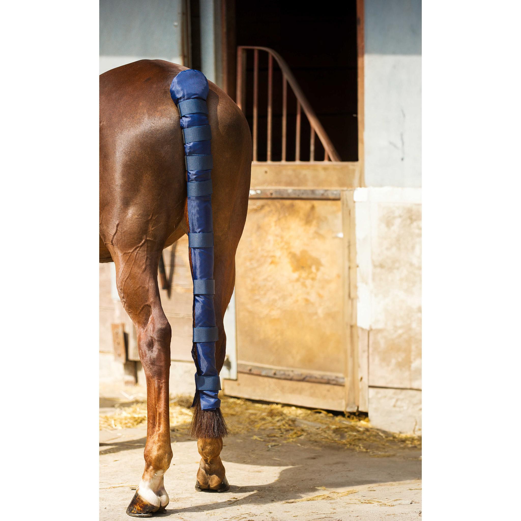 Norton Doudoune full tail guard Navy blue 402809007