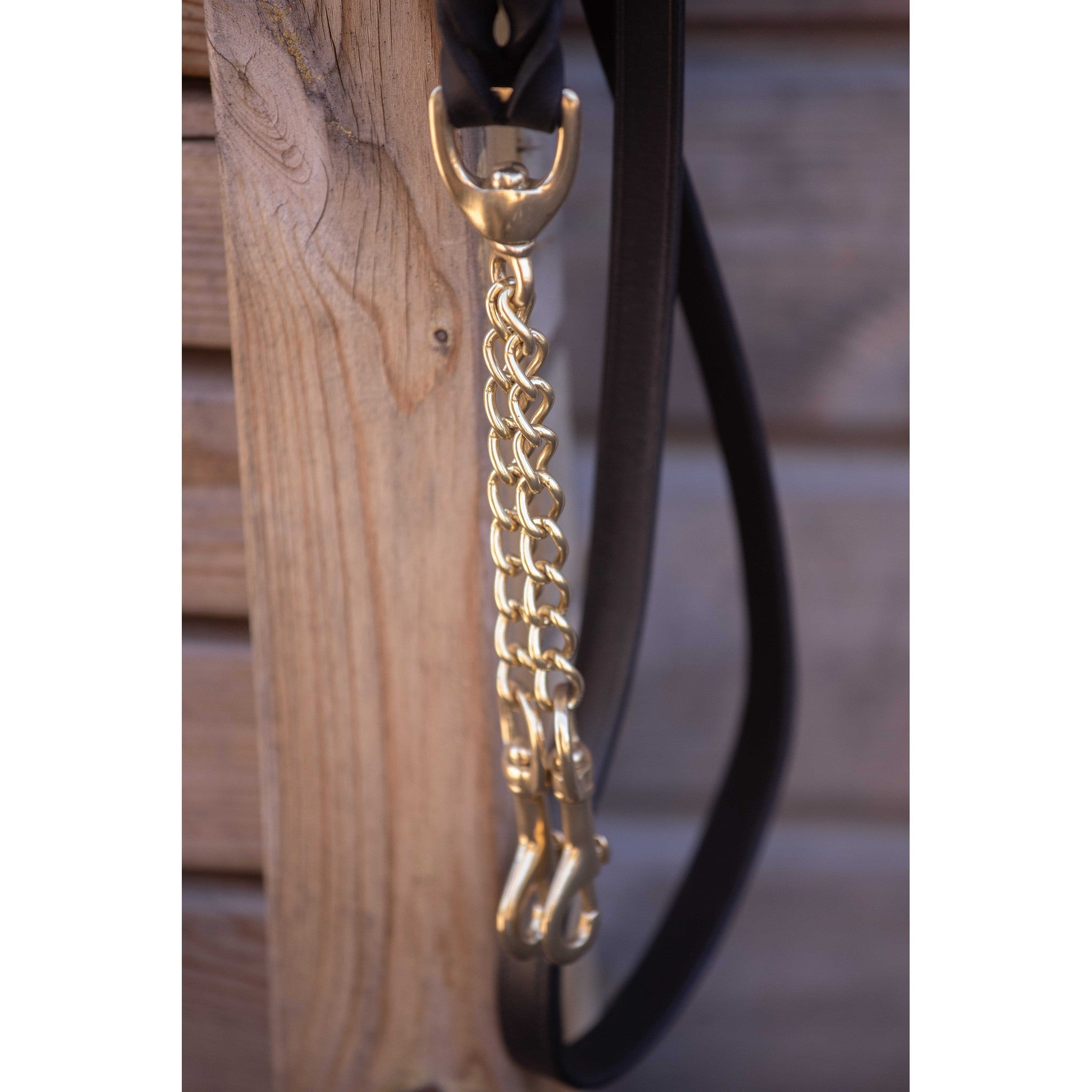 Paddock Sports Presentation Lead Rope Black 520034002