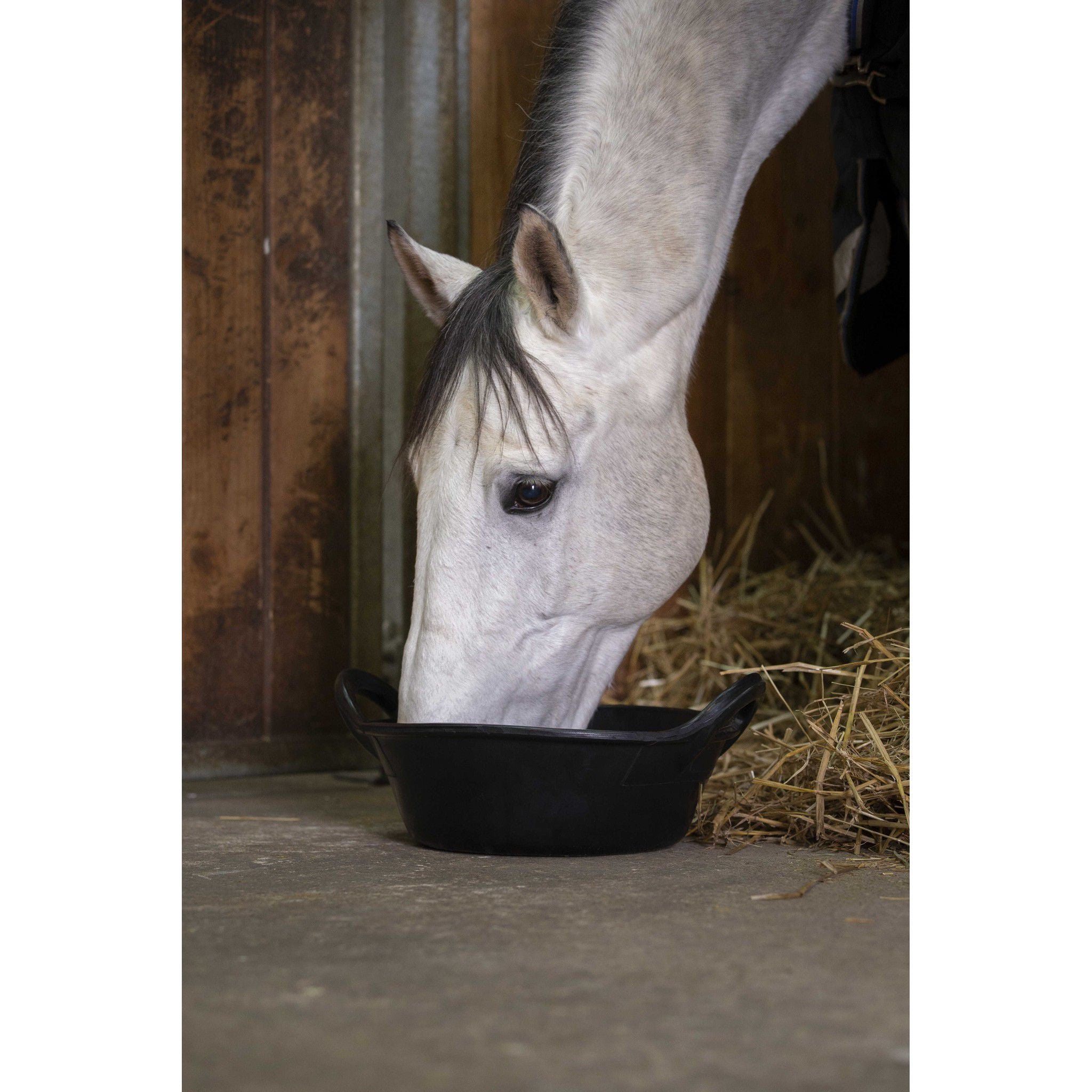 Hippo-Tonic Rubber Food bucket Black 704009002