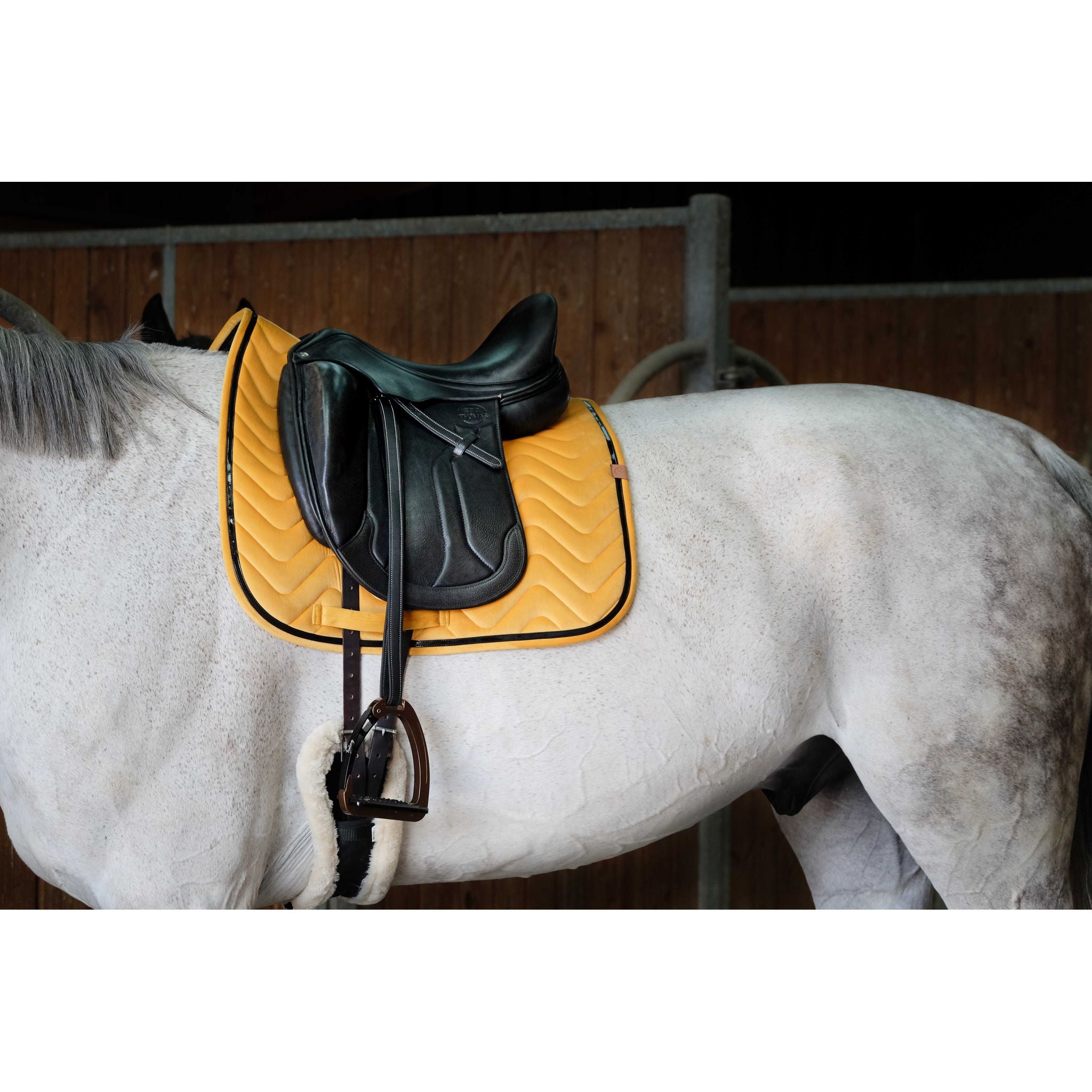 EQUITHÈME Glossy Dressage Saddle Pad Yellow - 204765010_ambi_1