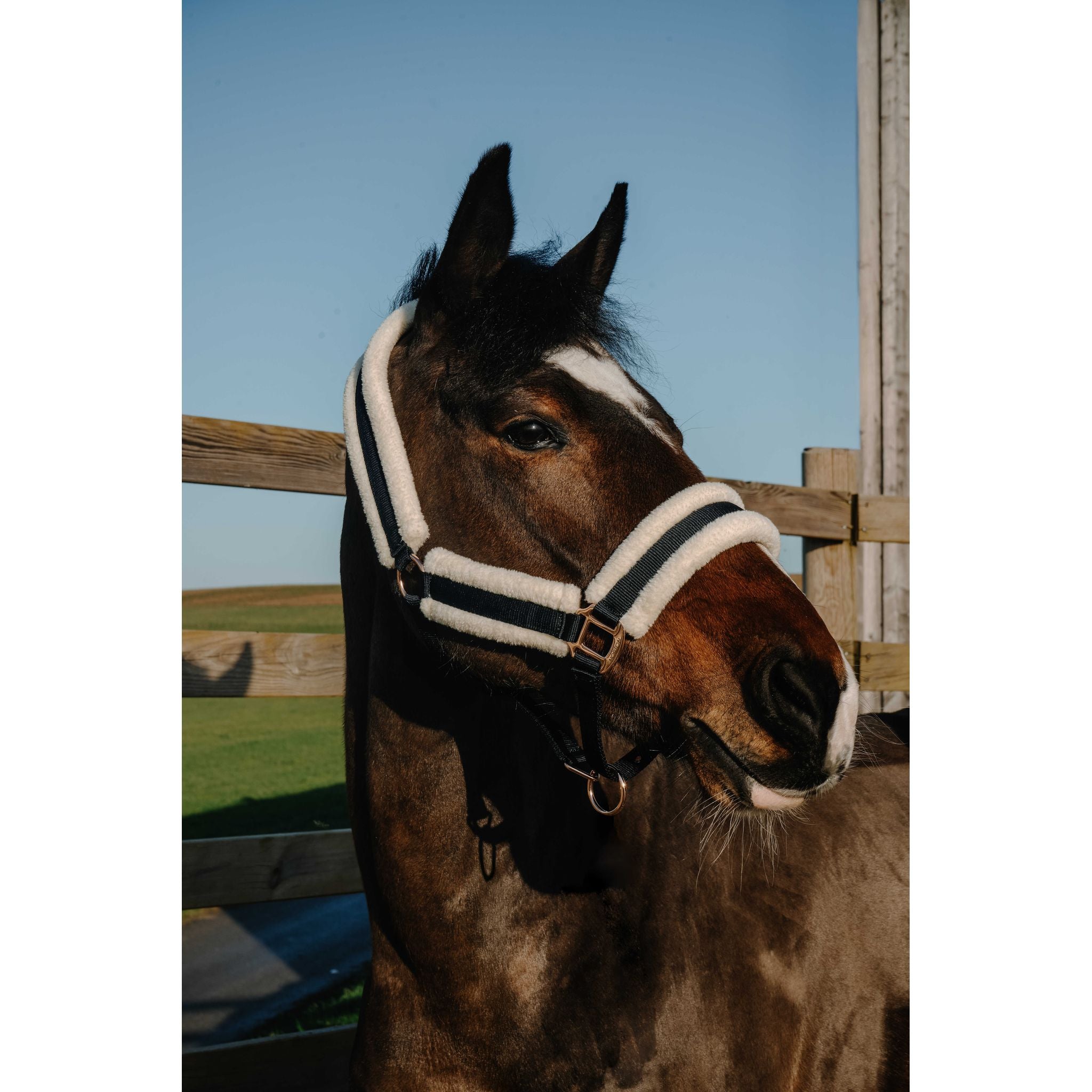 NORTON Comfy Halter Black - 510280302_ambi_2