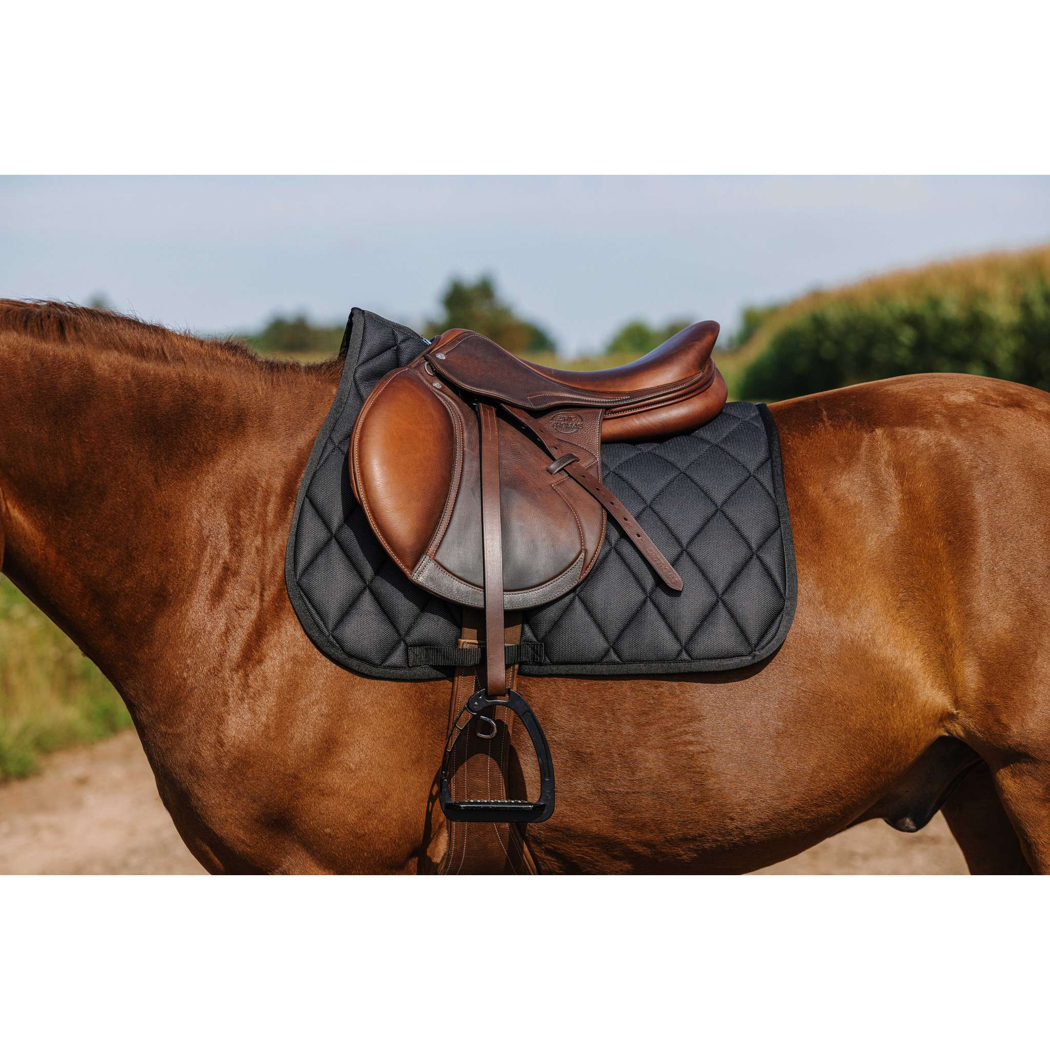 Riding World School Saddle Pad - All purpose Black 204057002