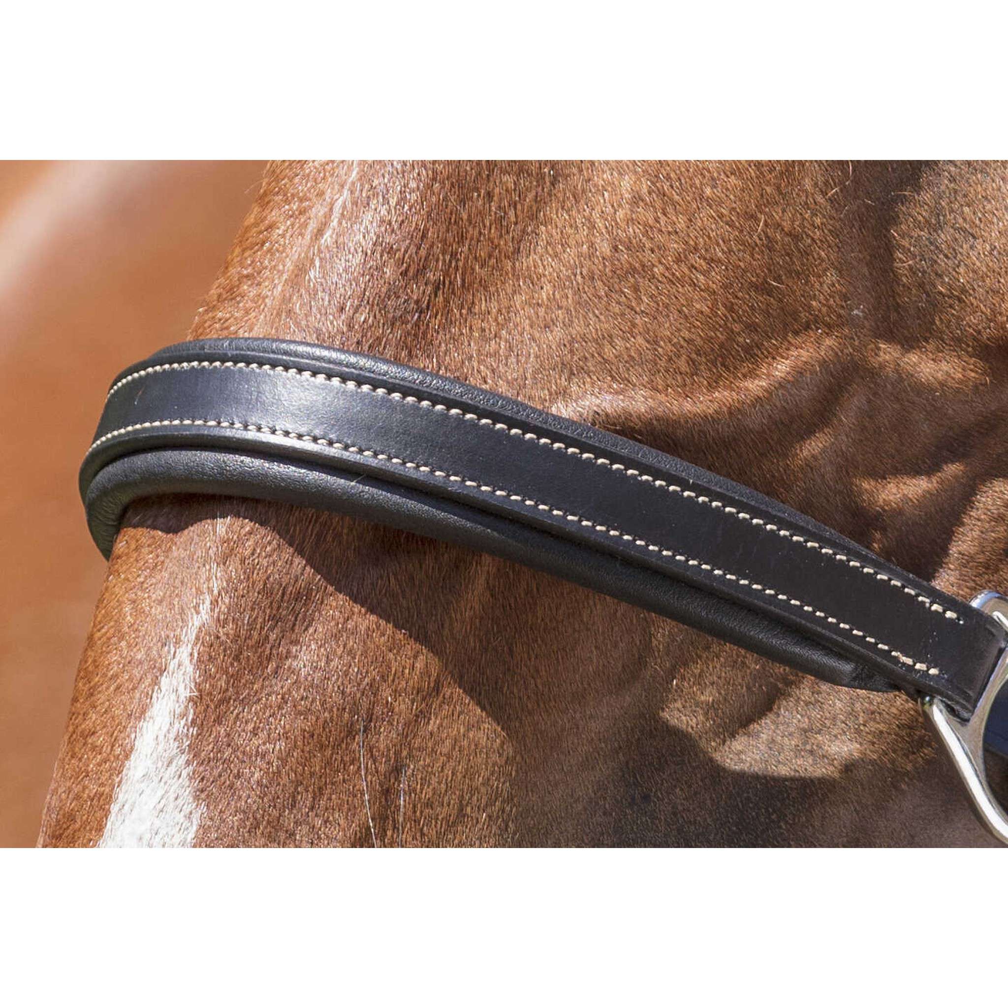Norton Pro Grooming Leather halter Black 510306302