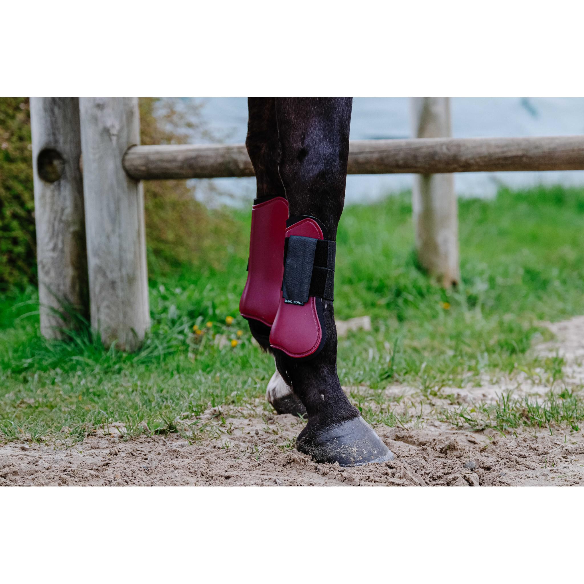 Riding World Tendon Boots Burgundy 530109033