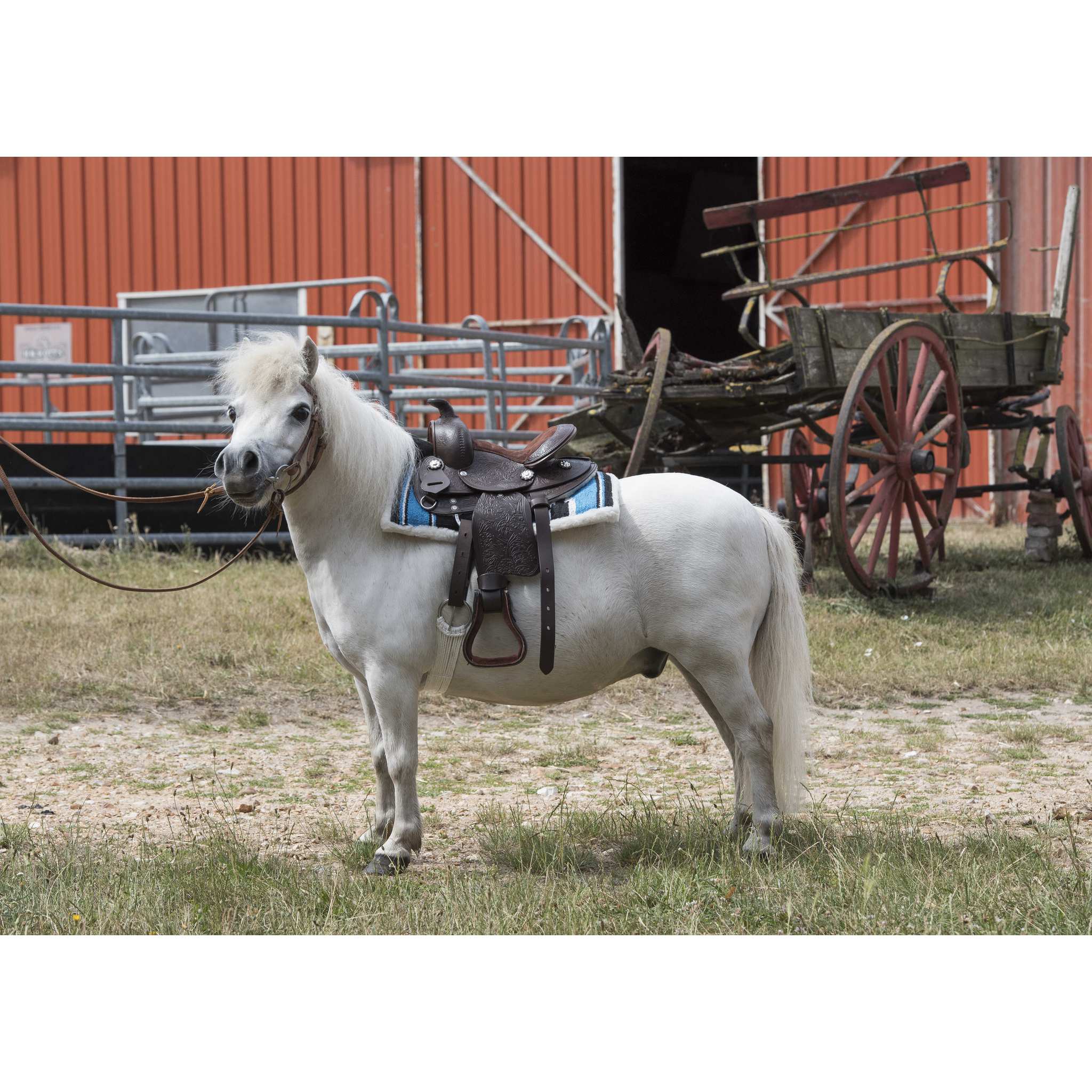 Westride Topeka Western Saddle Havana - 800076_ambi_1