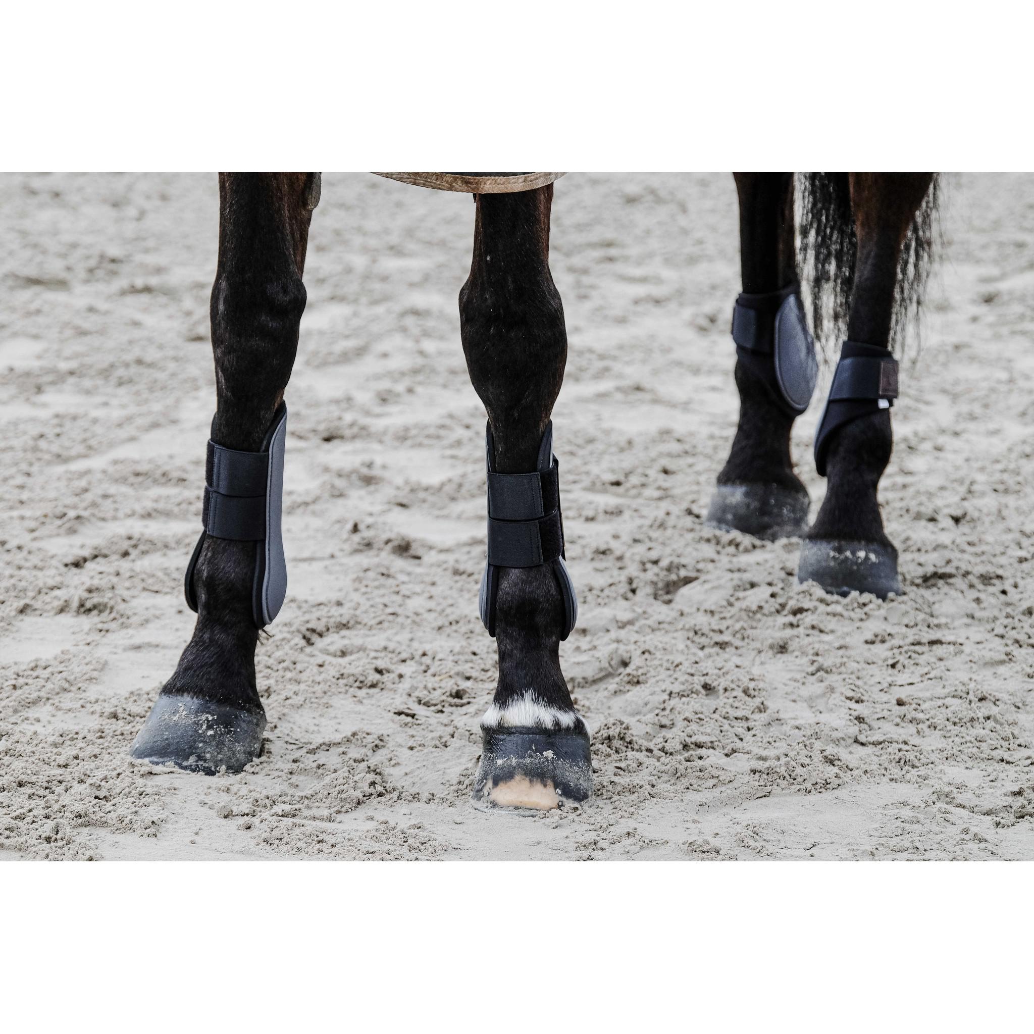 EQUITHÈME Tara Fetlock boots Grey 530817311