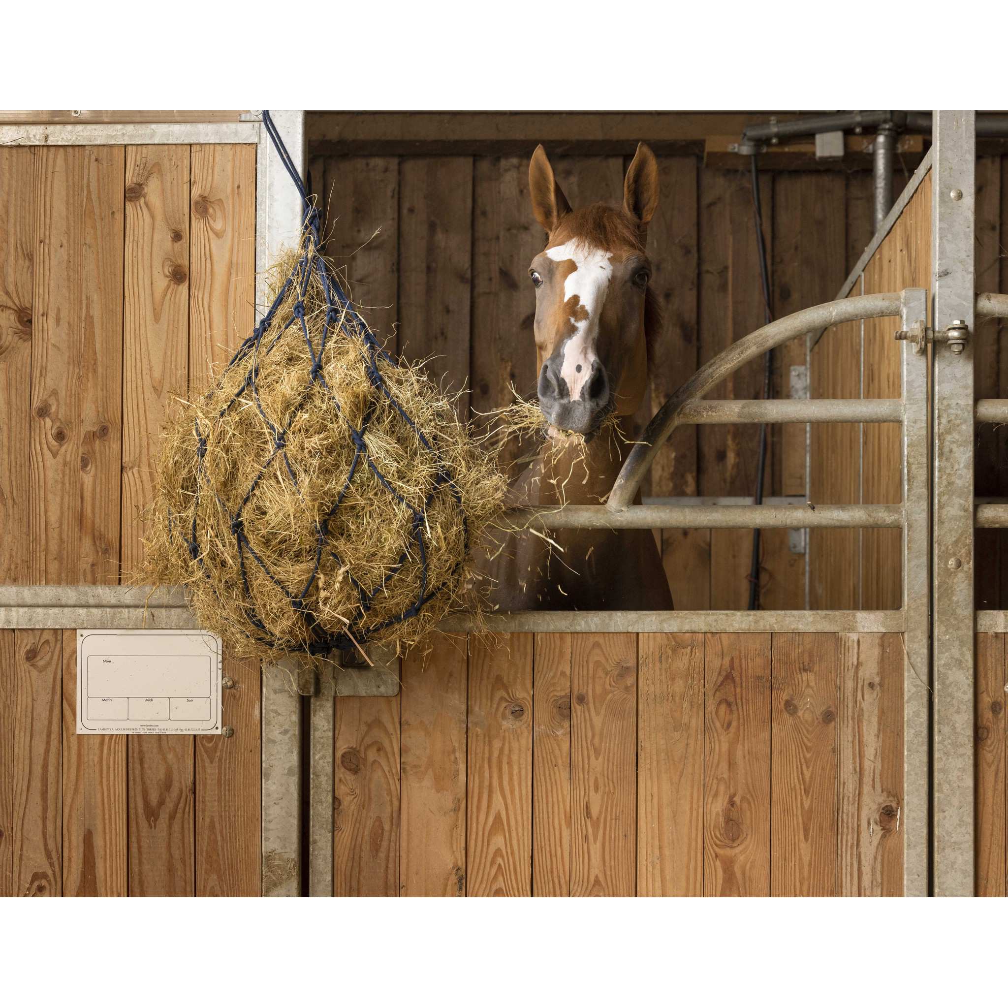 Hippo-Tonic Cotton haynet with rings Blue 306759006