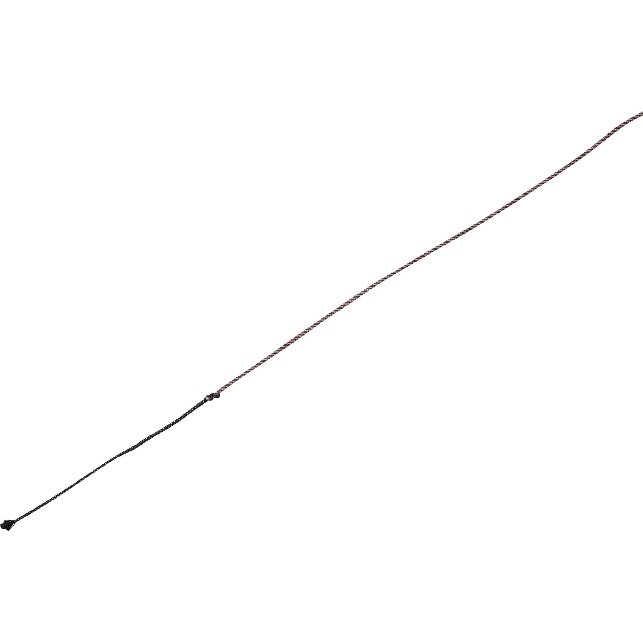 WHIP & GO - Removable Tourillon - Lunge Whip Brown / camel 953404004