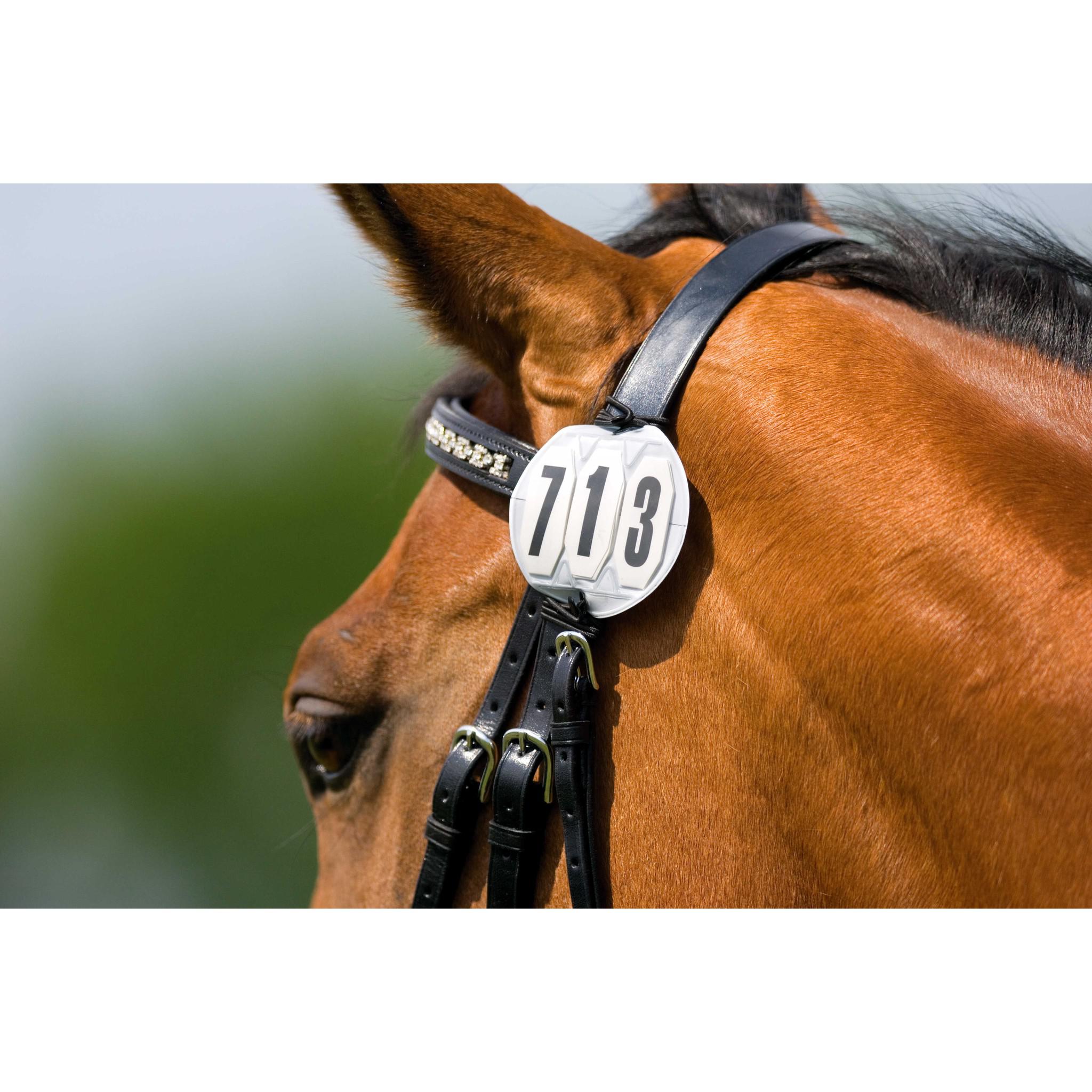 EQUITHÈME 3-numbers starting badge, round White/black 904163