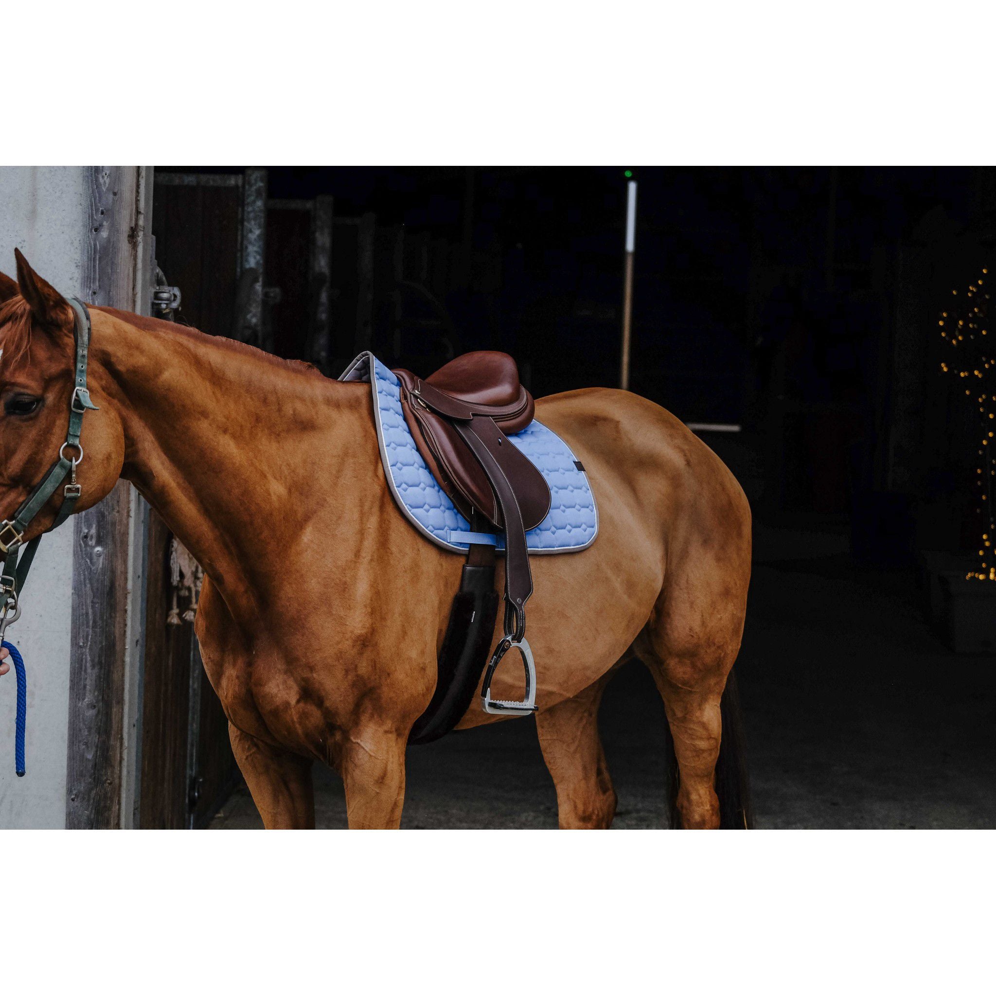 EQUITHÈME Orion saddle pad - All purpose Blue/light blue 204774012