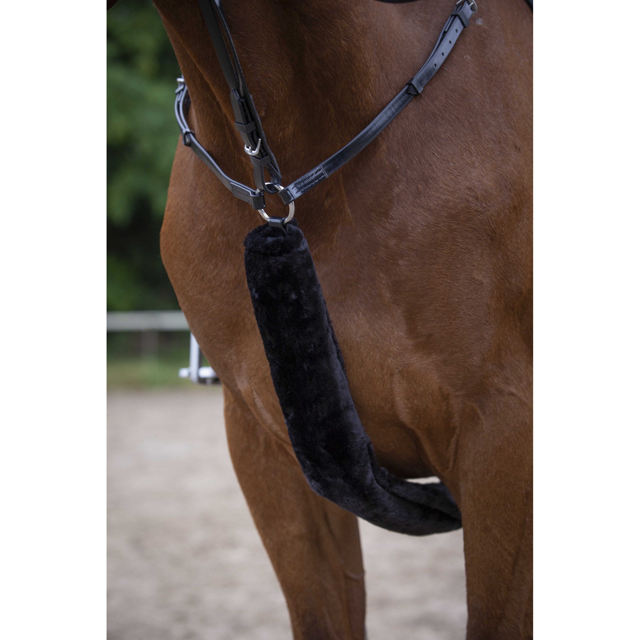 EQUITHÈME Teddy hunting breastplate sleeve Black 207503302