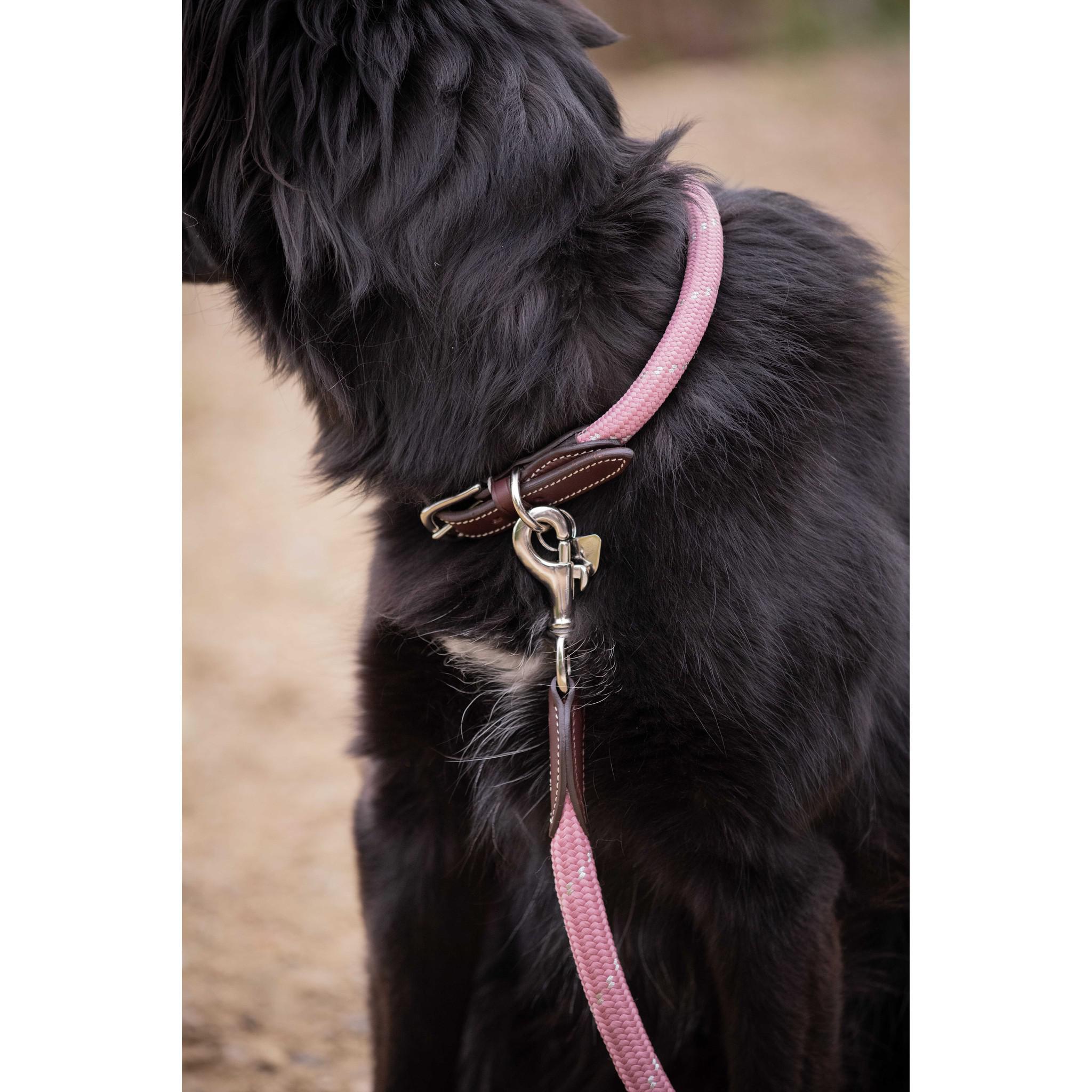 Pénélope Billie Dog Collar Pink 409826440