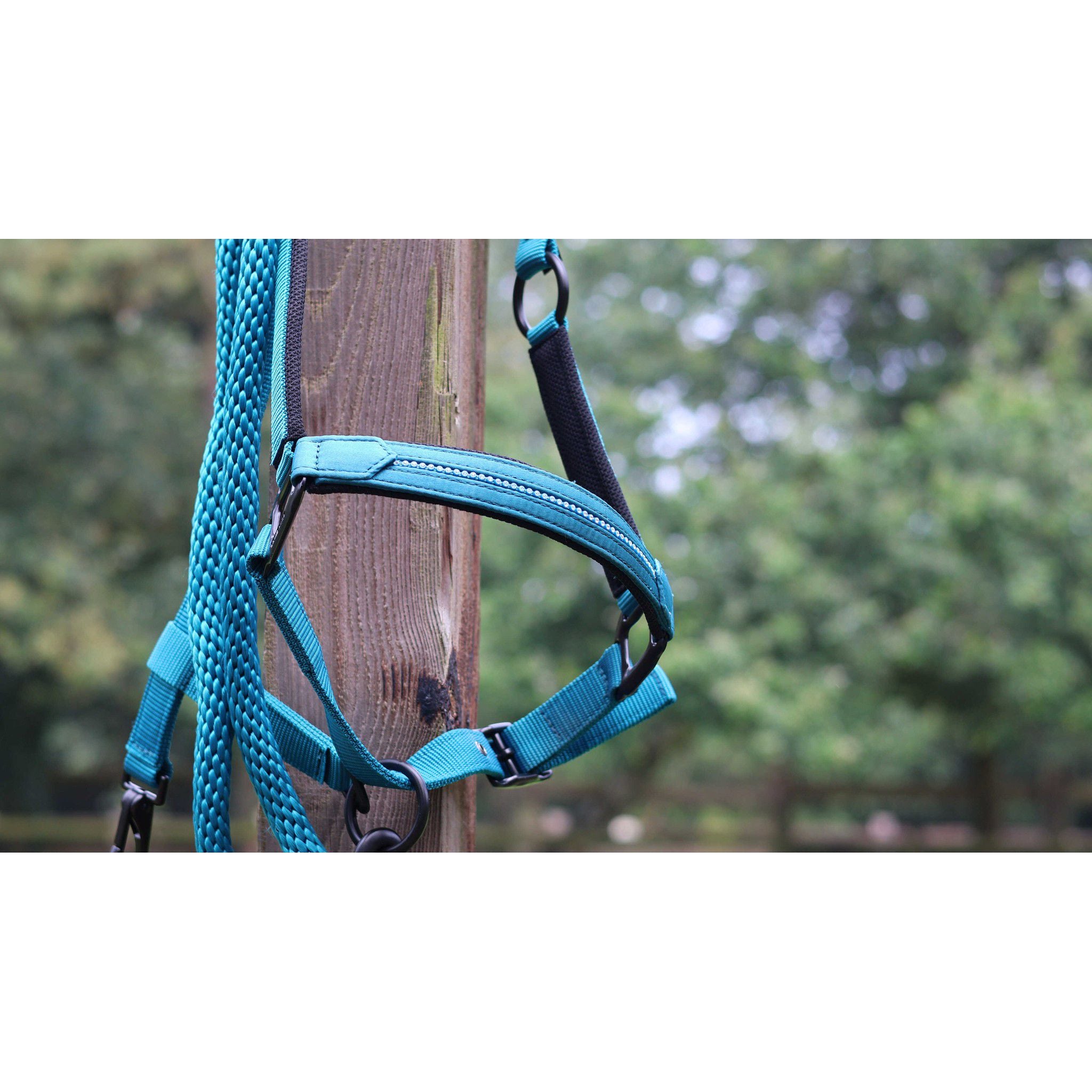 Lami-Cell Charming Lead rope Turquoise 555029017