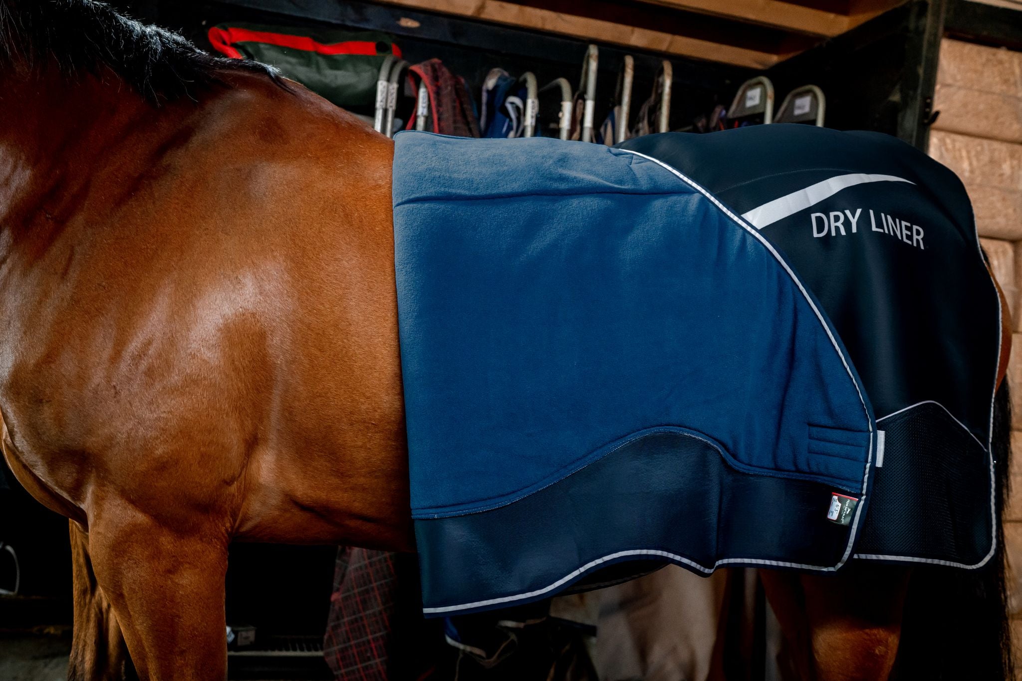 Horseware Dry Liner - Standard Navy blue