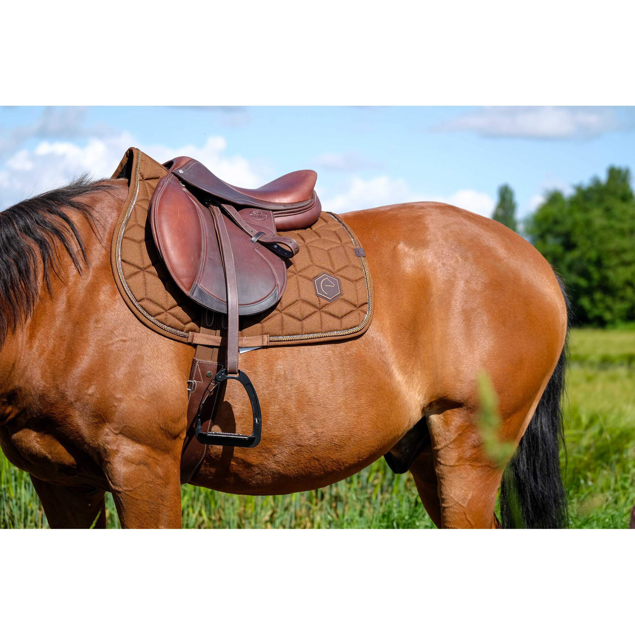 EQUITHÈME Hexalight saddle pad - All purpose chestnut brown 204004004