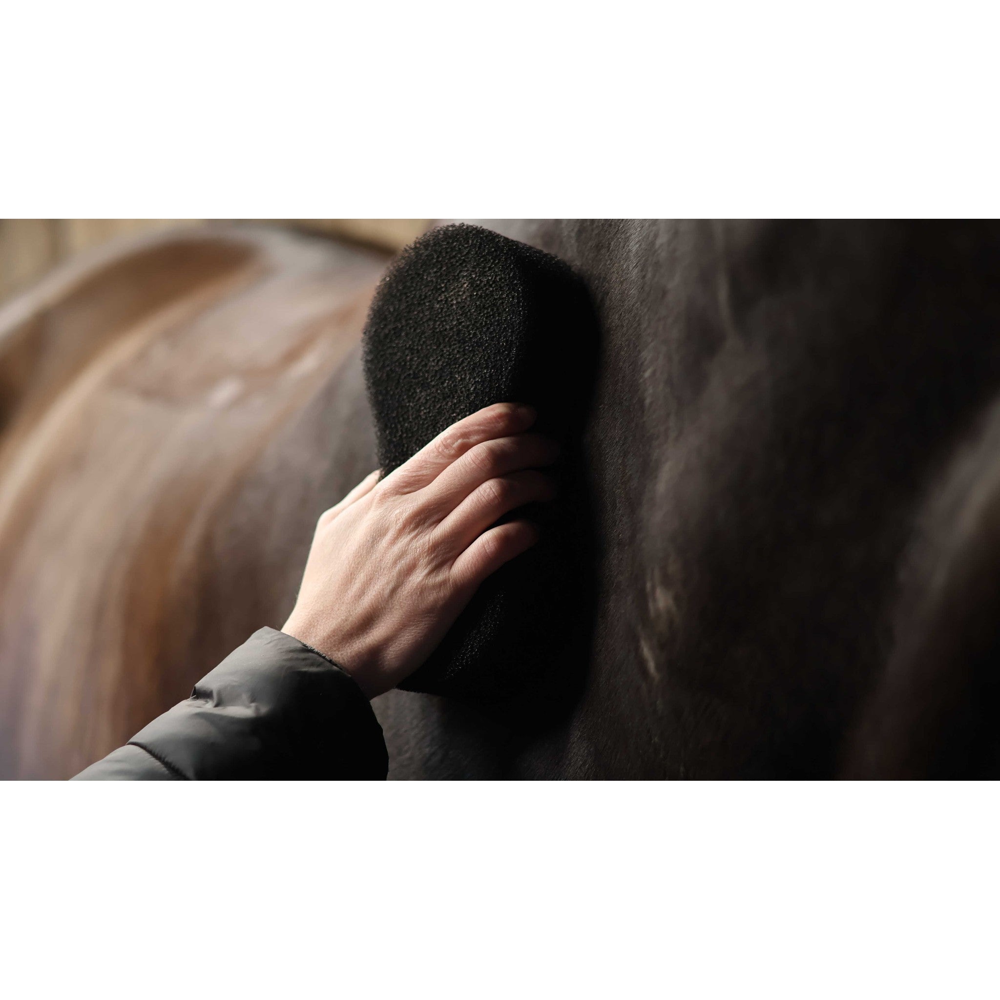 Lami-Cell Shine Scrubber Sponge Black 700211002