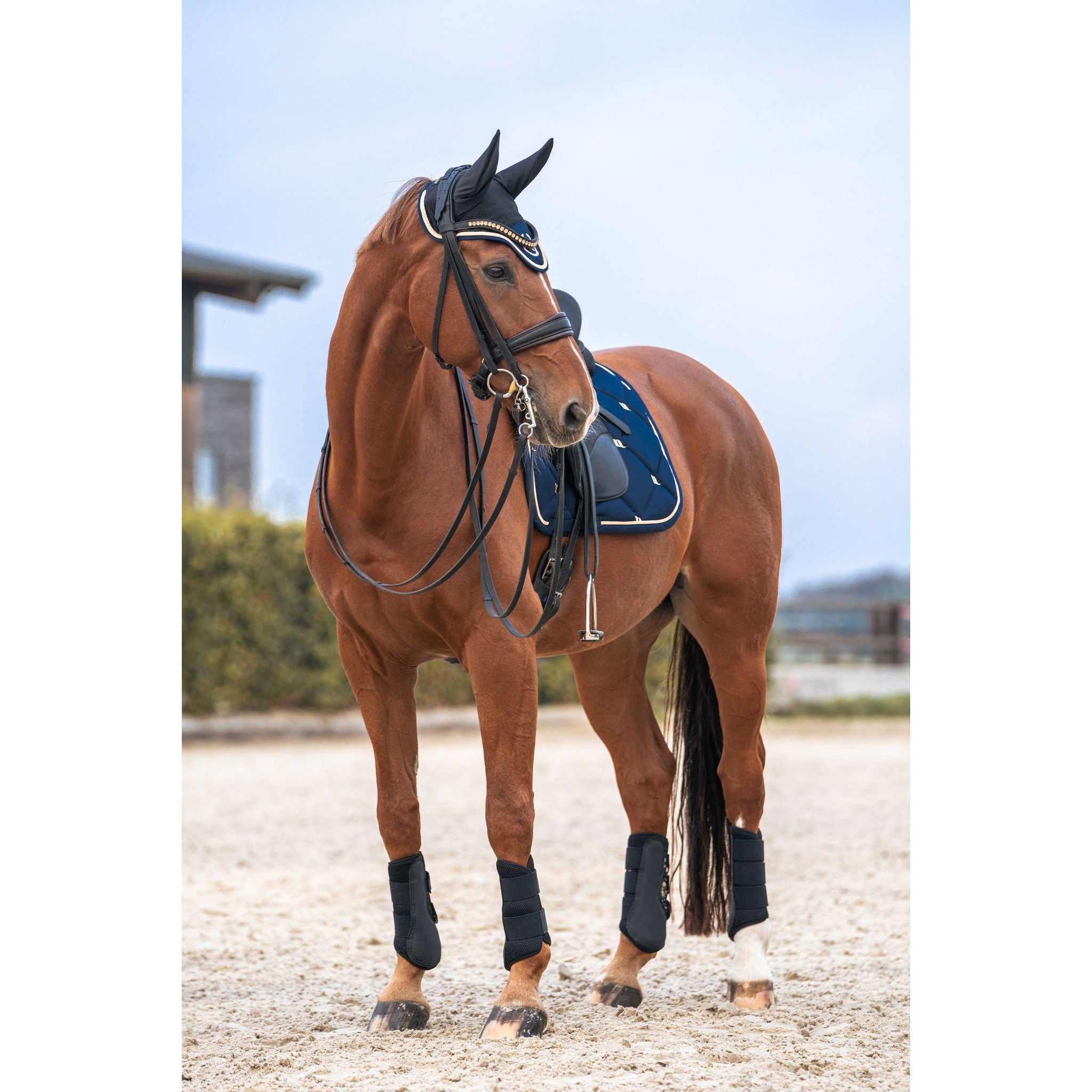 Back on Track® Night Collection Fly veil with ears Blue b24045003
