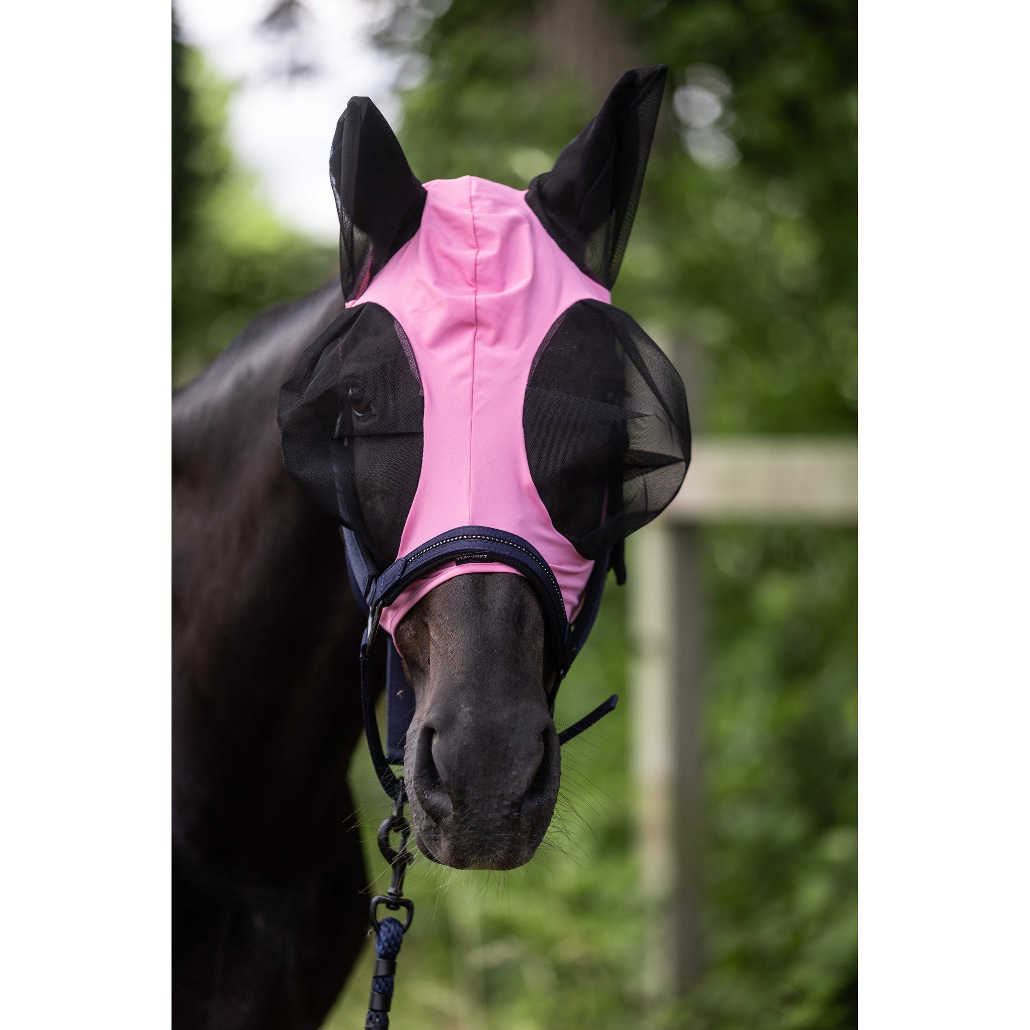 LAMI-CELL Lycra Fly Mask Pink - 306046213_ambi_7