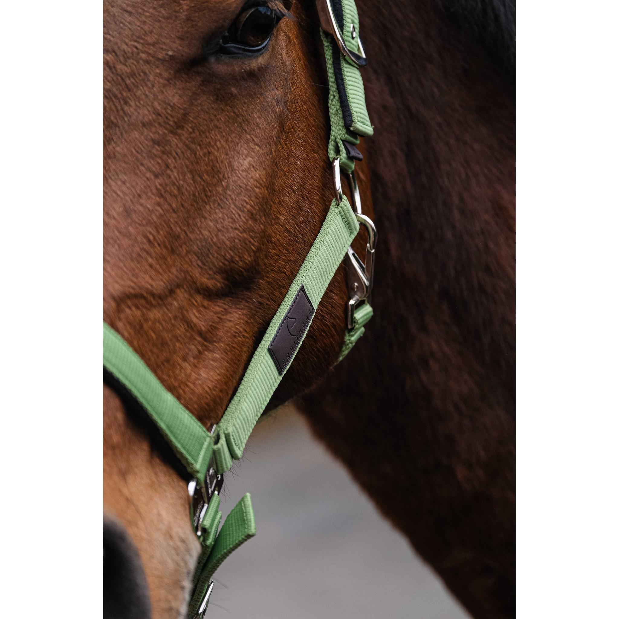 EQUITHÈME Spring Halter Light green 510257008