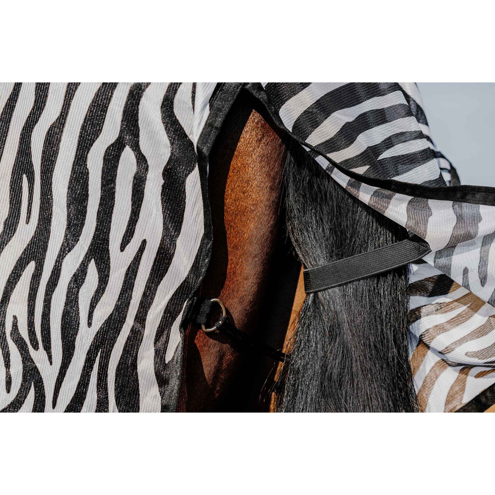 Riding World Belly Mesh Sheet - Standard Zebra 400725063