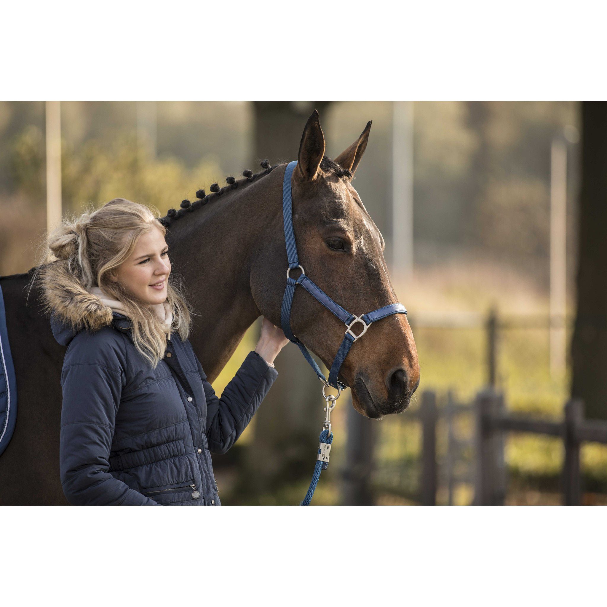 Lami-Cell LC Halter Blue 555008206