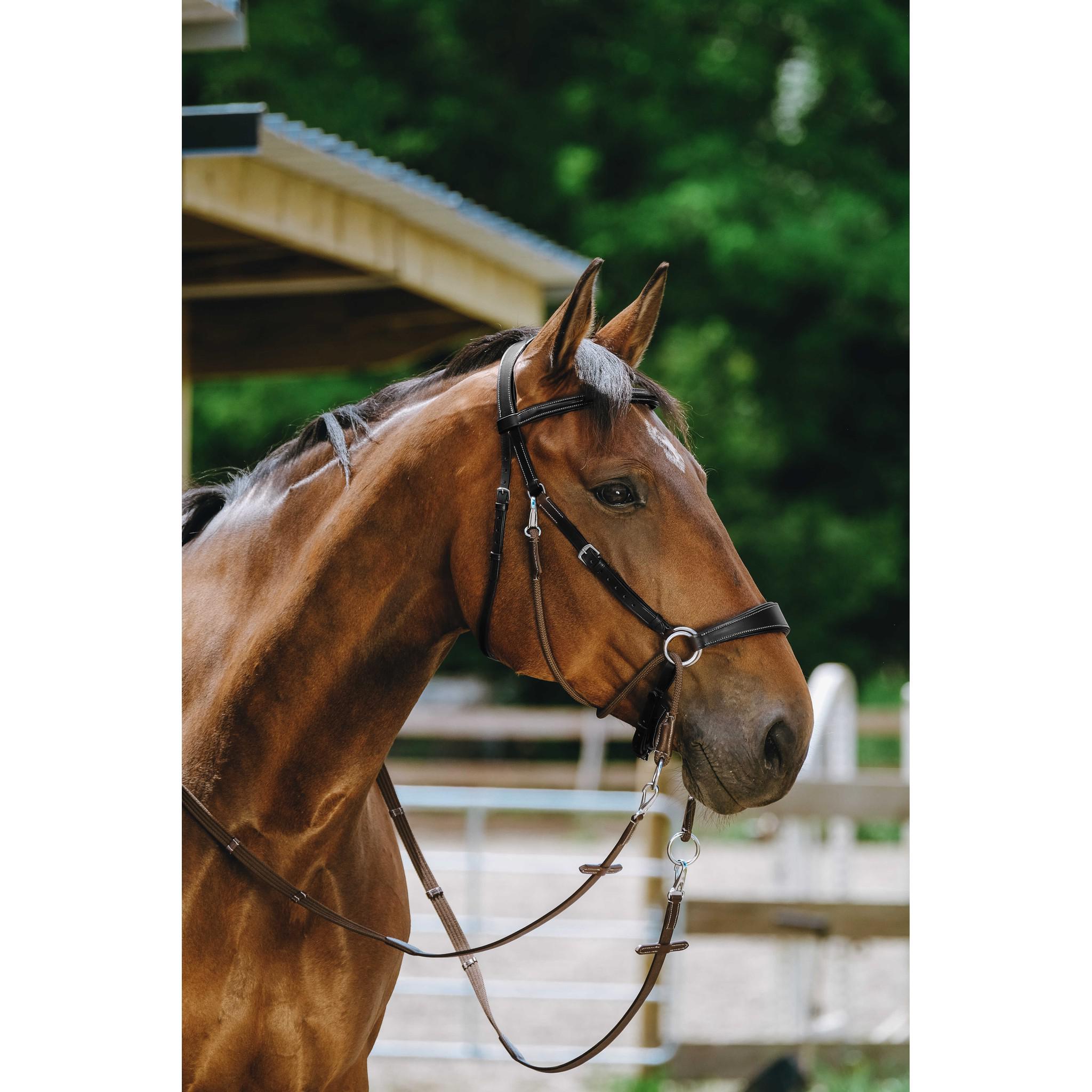 Norton Bitless Bridle Black 301803302