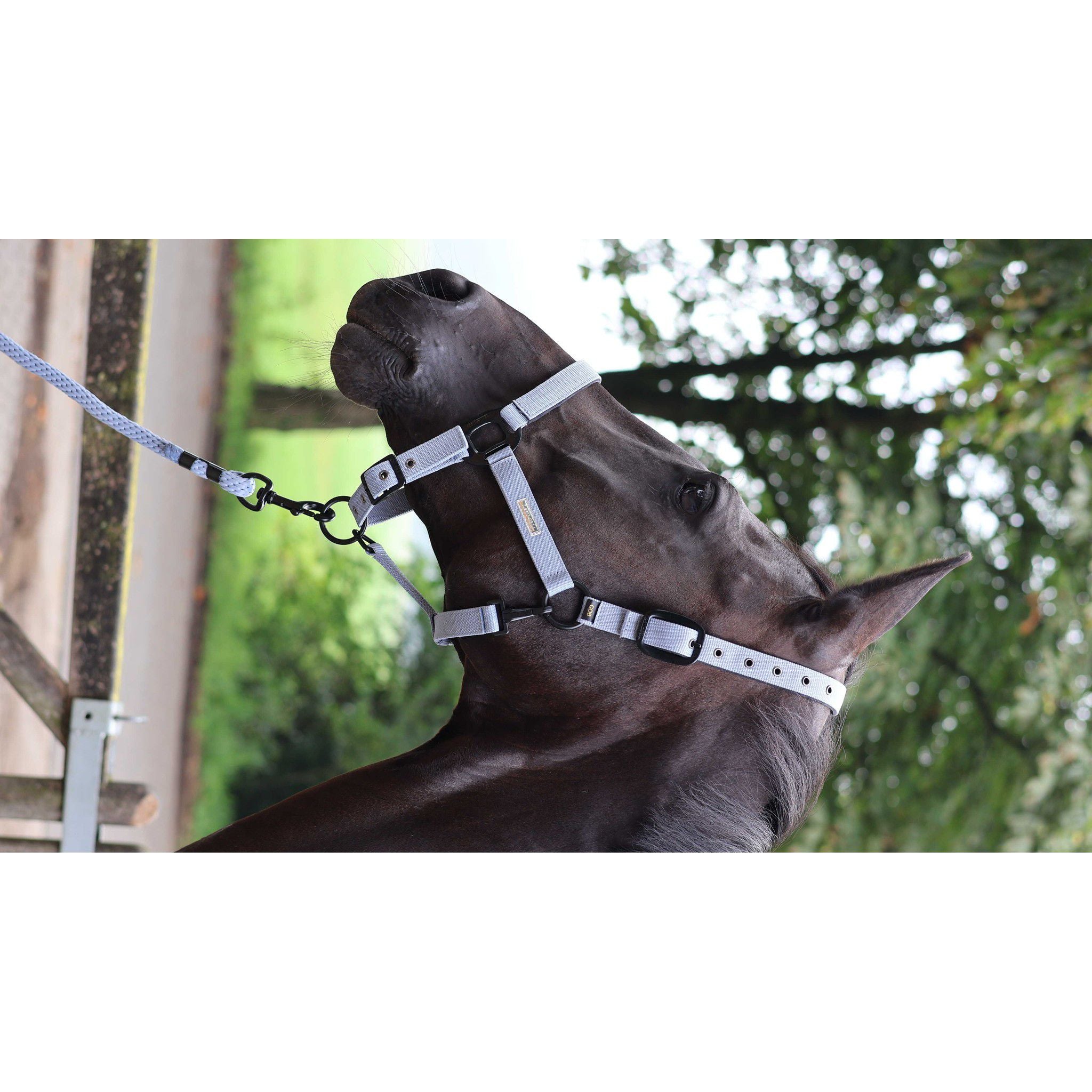 Lami-Cell Midnight Halter Dark grey 555027330