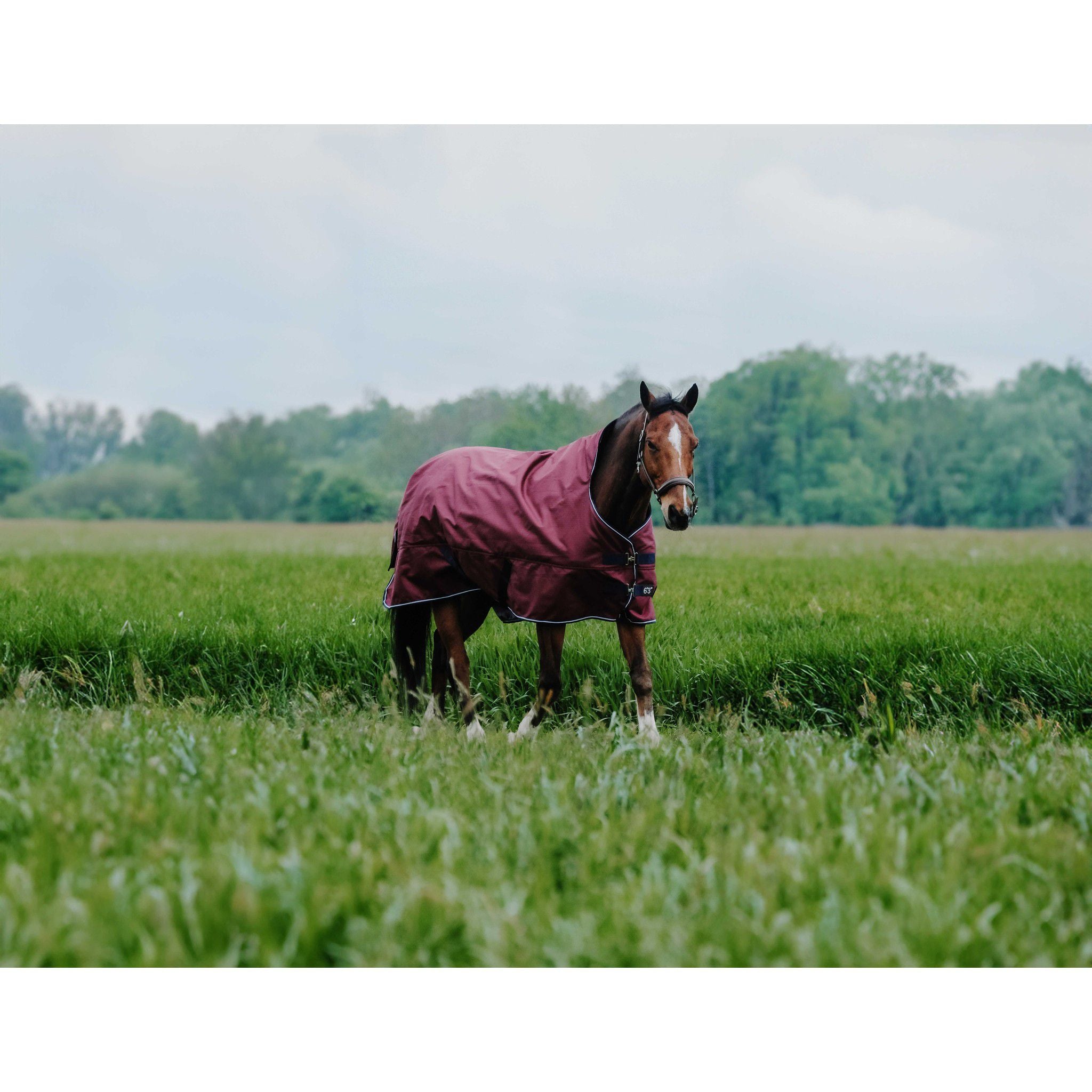 EQUITHÈME Tyrex 1200D Turnout sheet Reflec - High Neck Burgundy 400931363