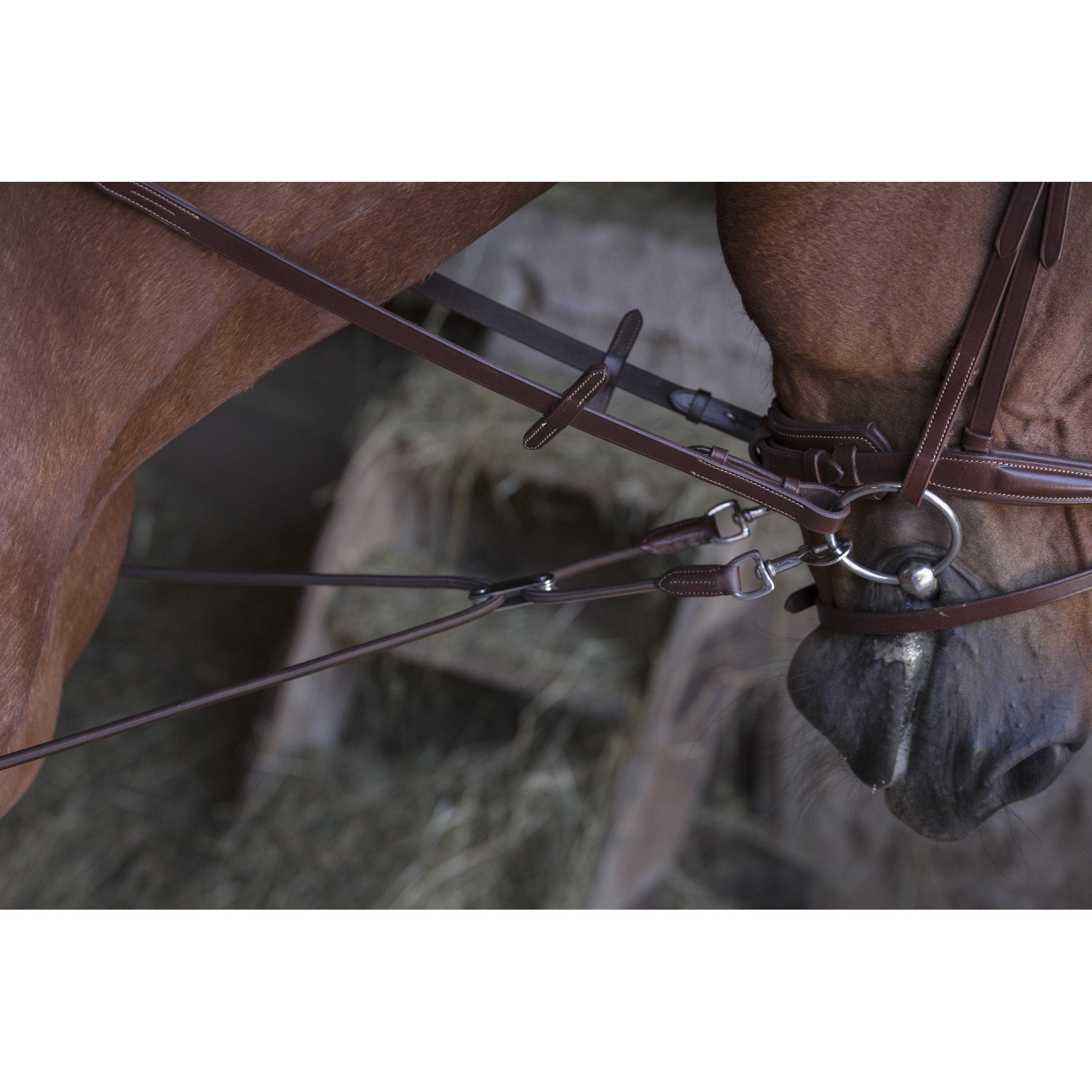 Norton Pro Short Elastic Side Reins with Pulleys Havana 306394018