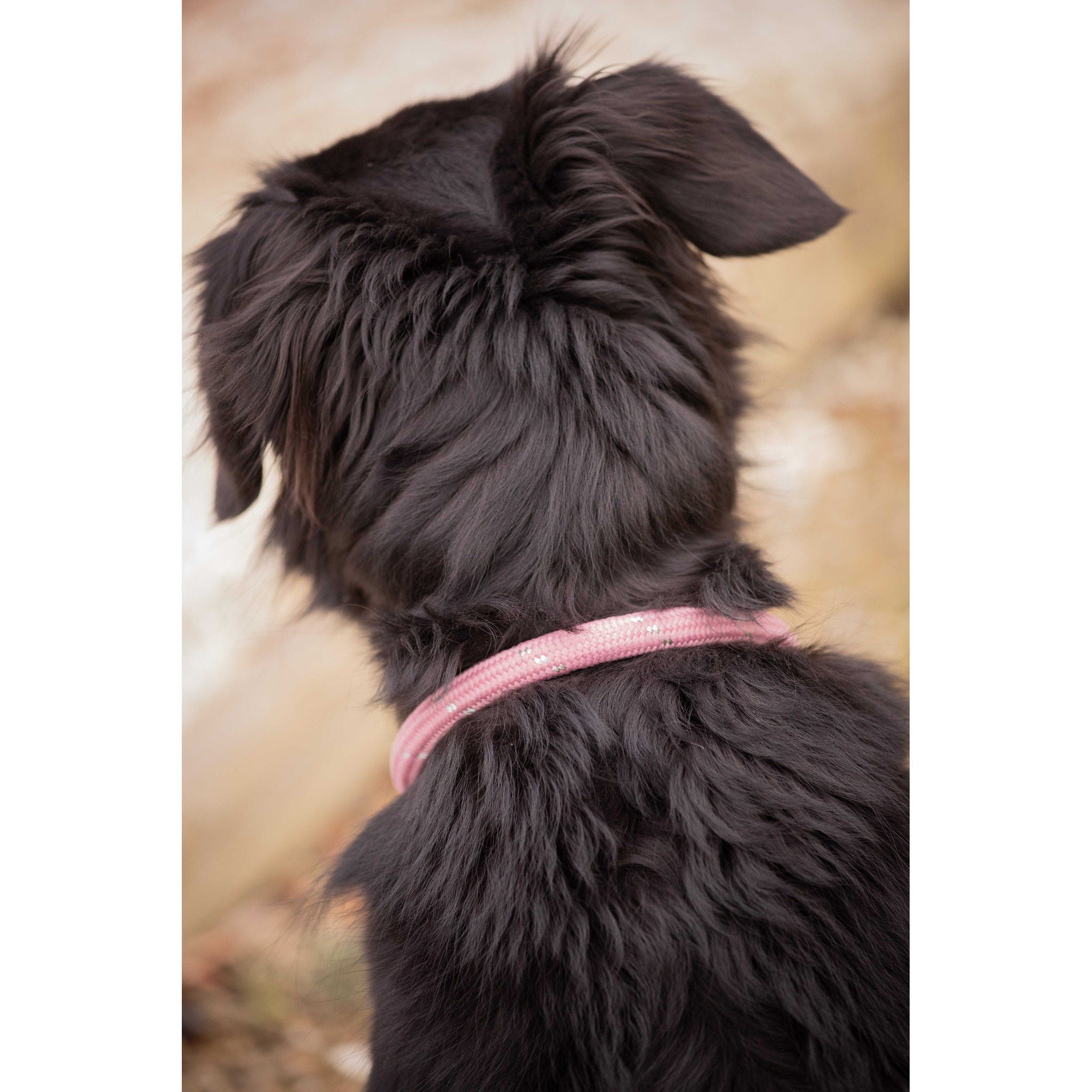 Pénélope Billie Dog Collar Pink 409826440