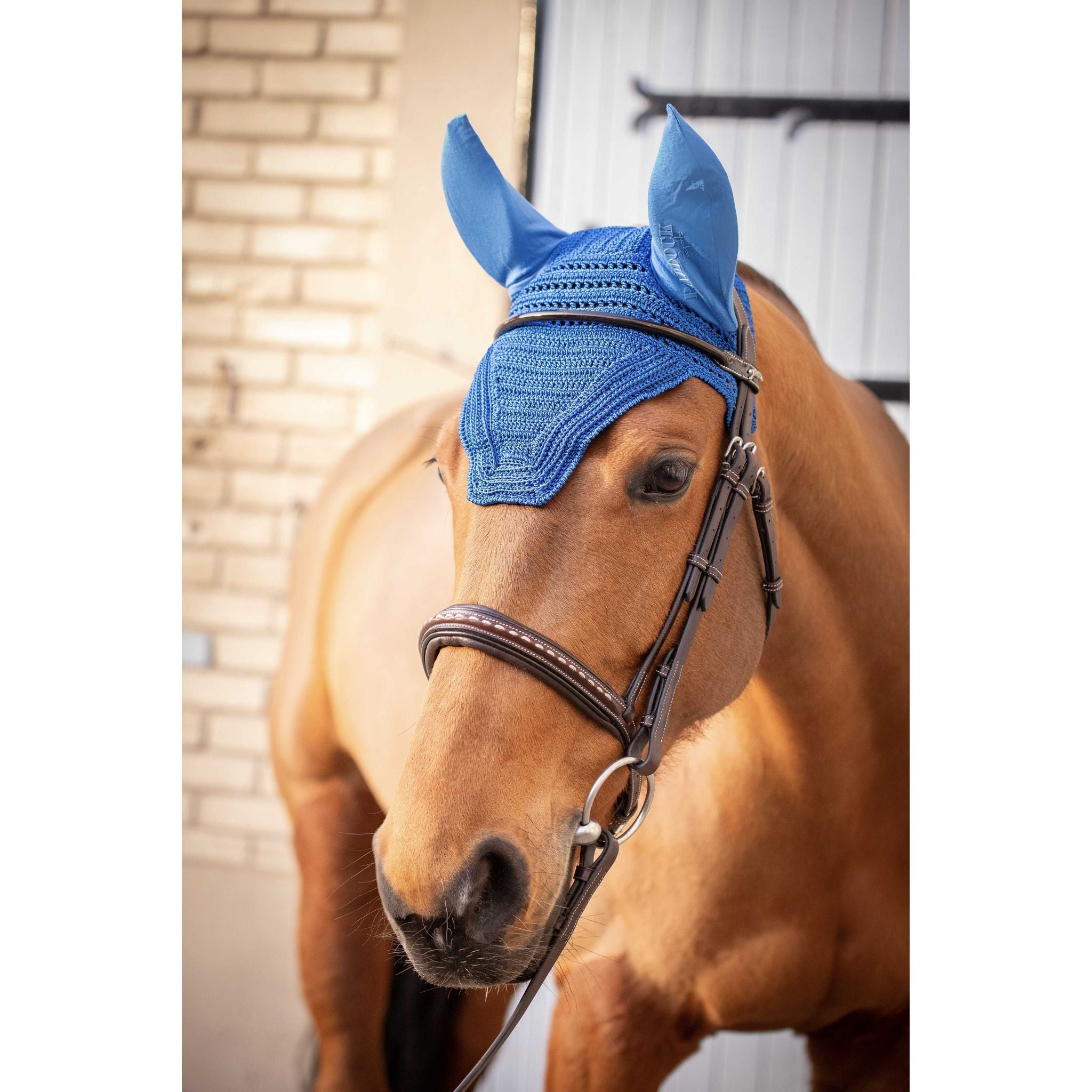 Paddock Sports Prem's Fly Veil Royal blue - 306969206_ambi_1