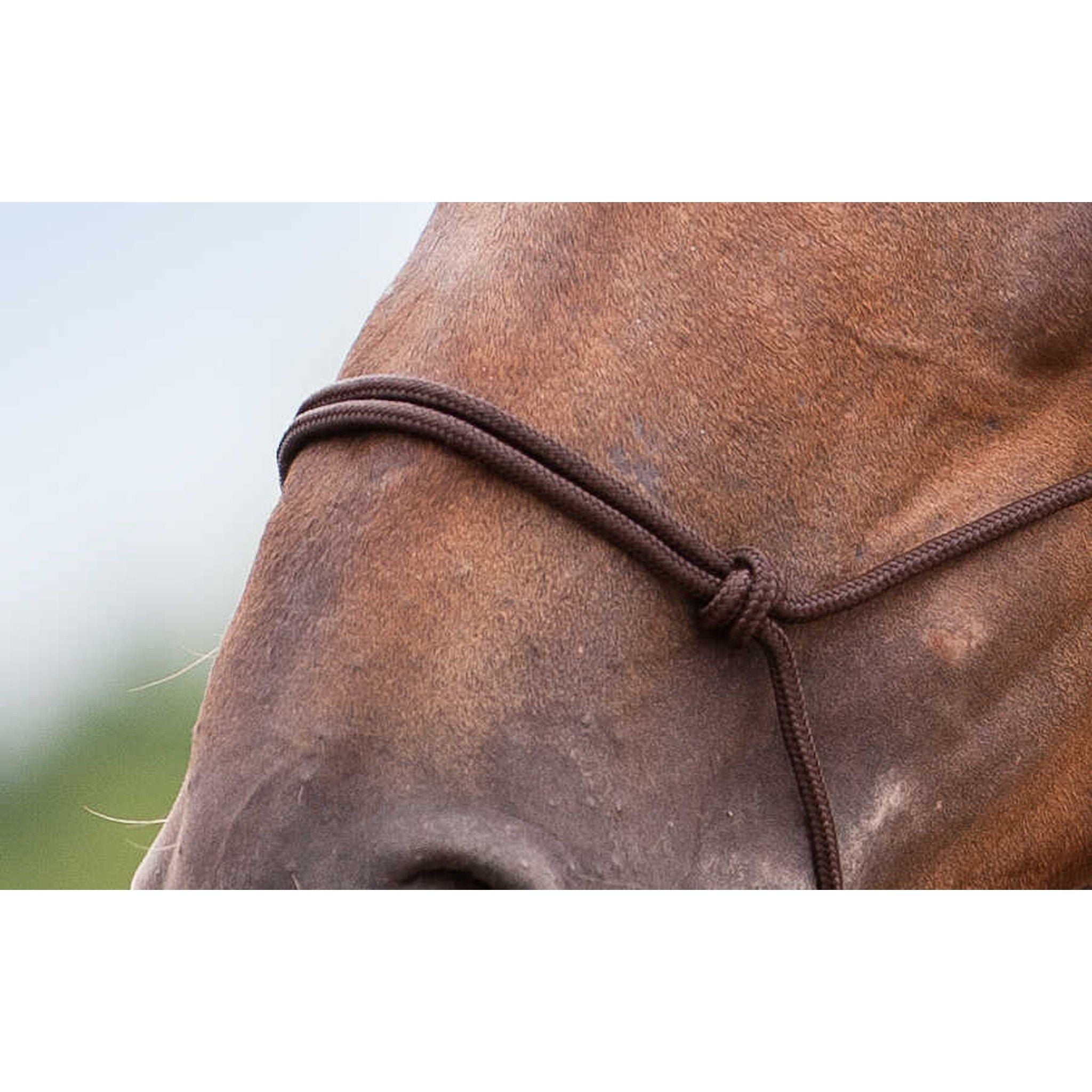 Norton Soft ethological halter Brown 510156004