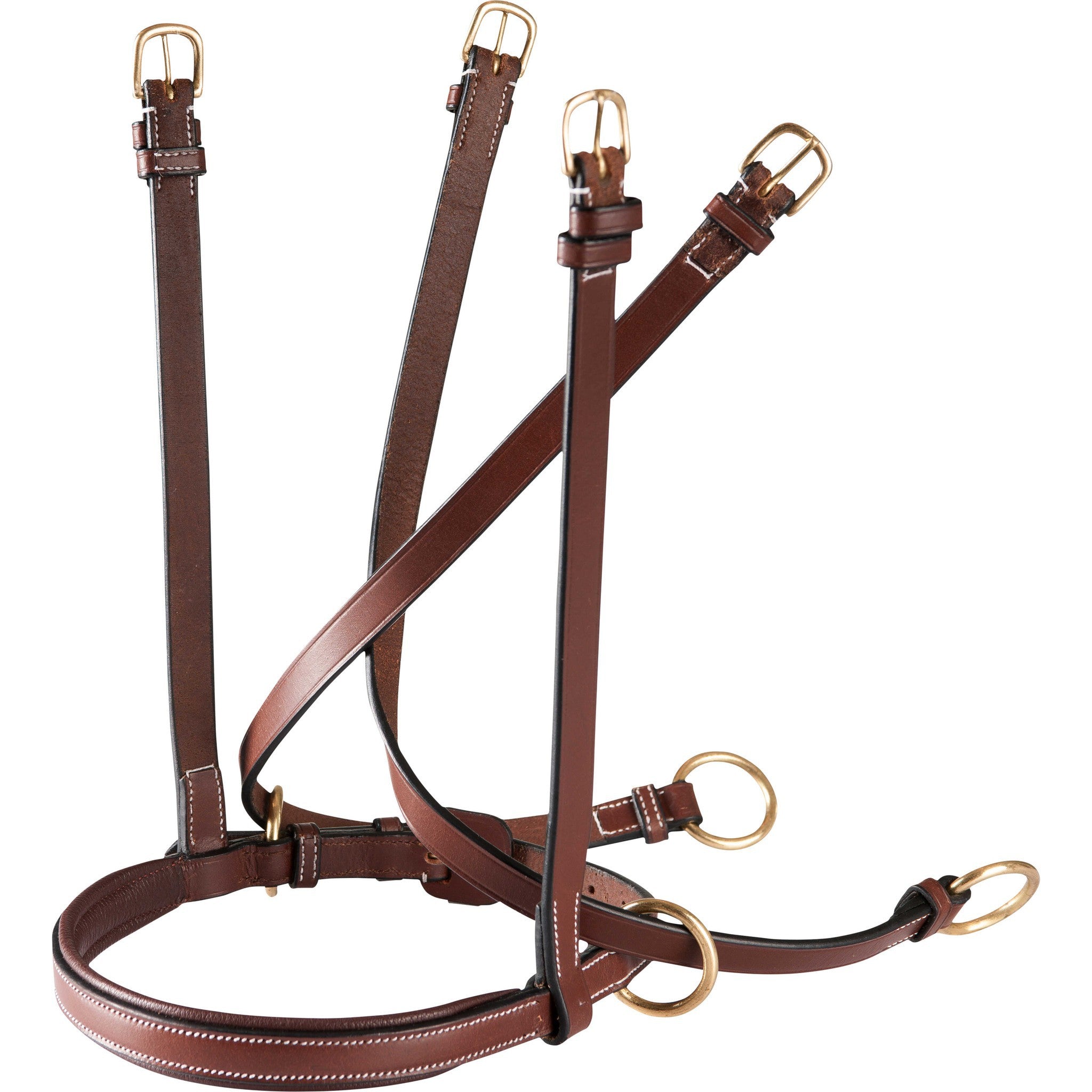 Eric Thomas Pro bitless noseband Havana 307450318