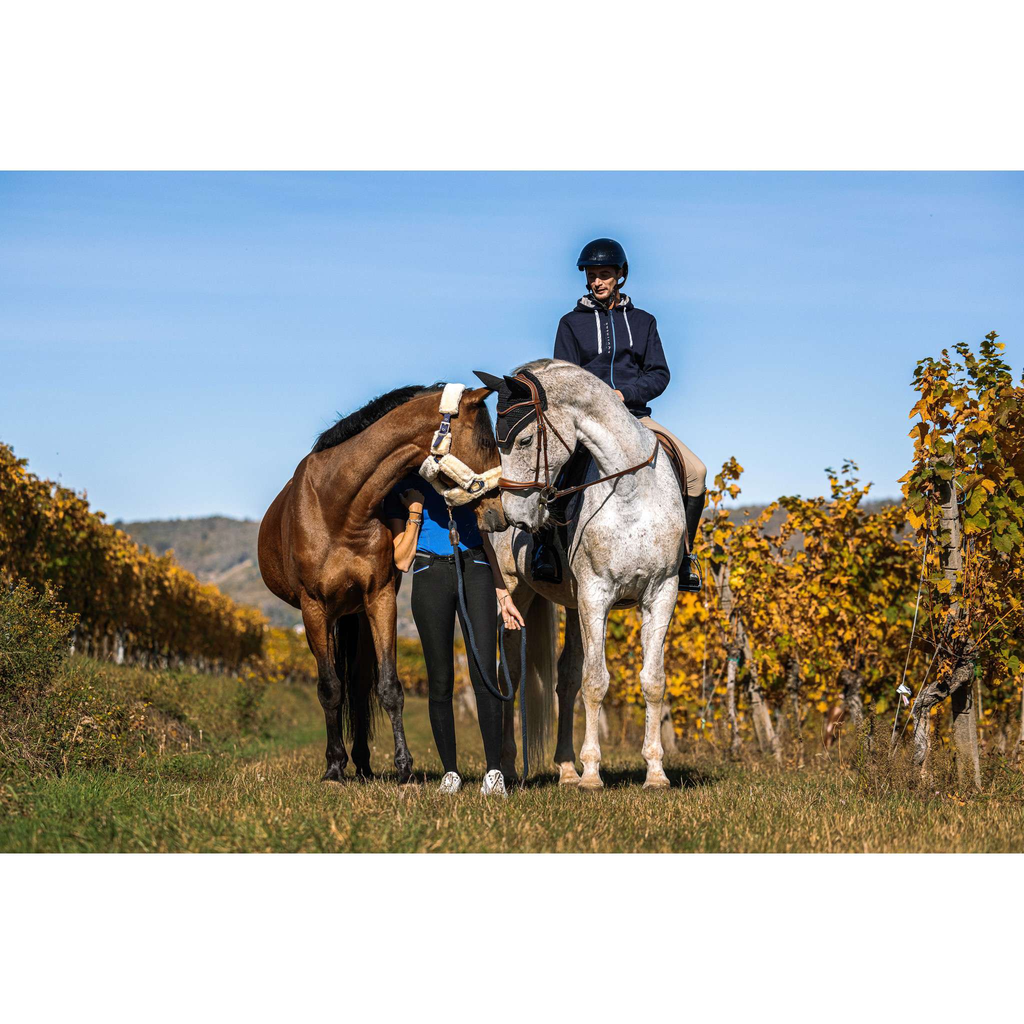 EQUITHÈME Hervé Sweatshirt - Men Navy blue 963212073