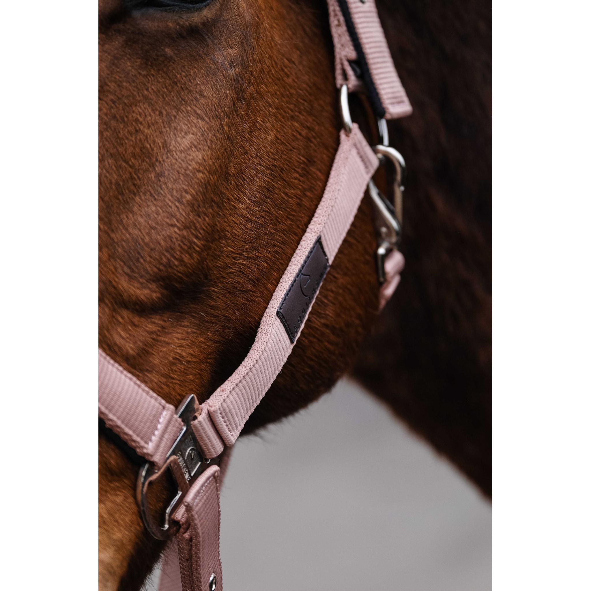 EQUITHÈME Spring Halter Antique pink 510257130
