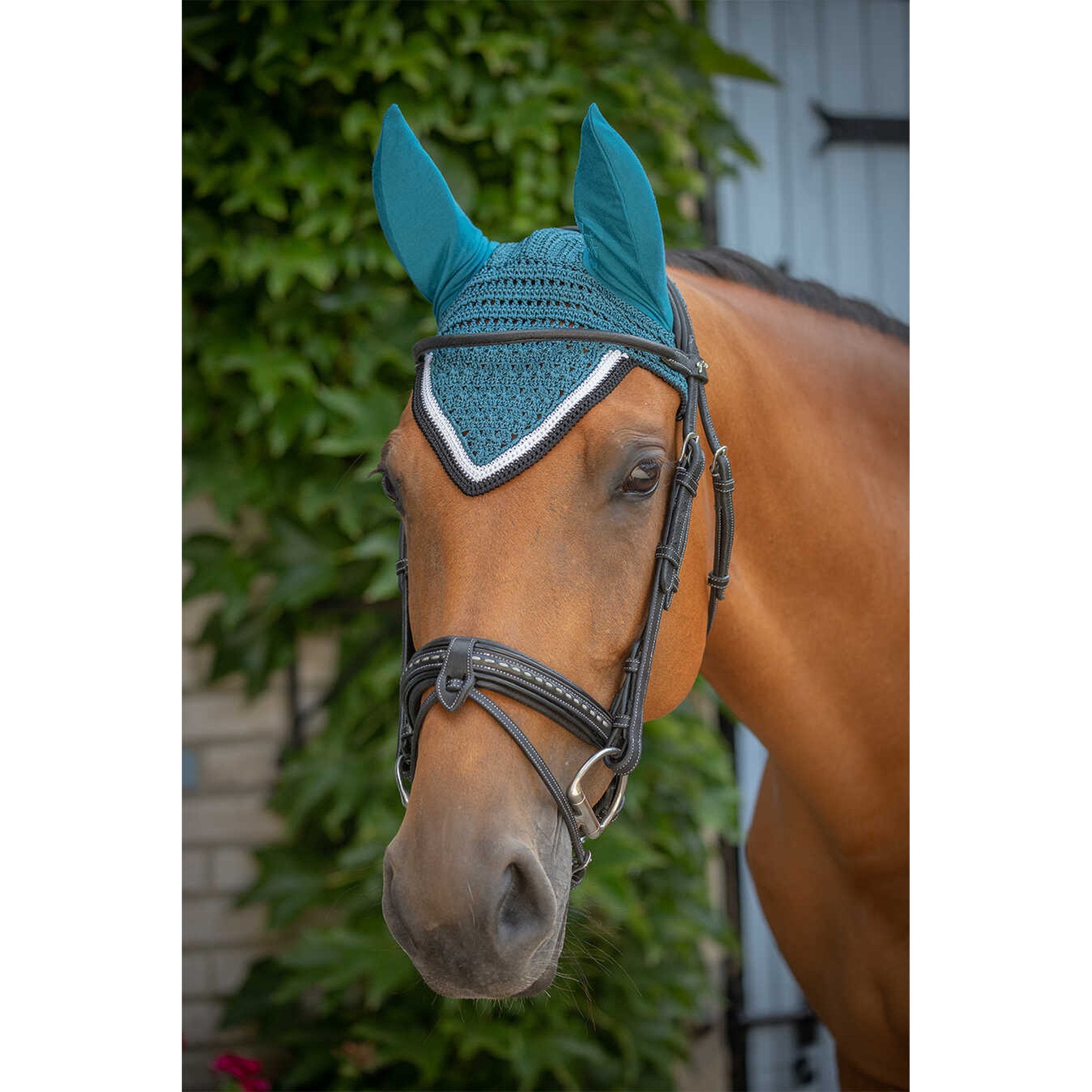 Paddock Sports Origine Fly Veil Peacock blue - 306988040_ambi_3