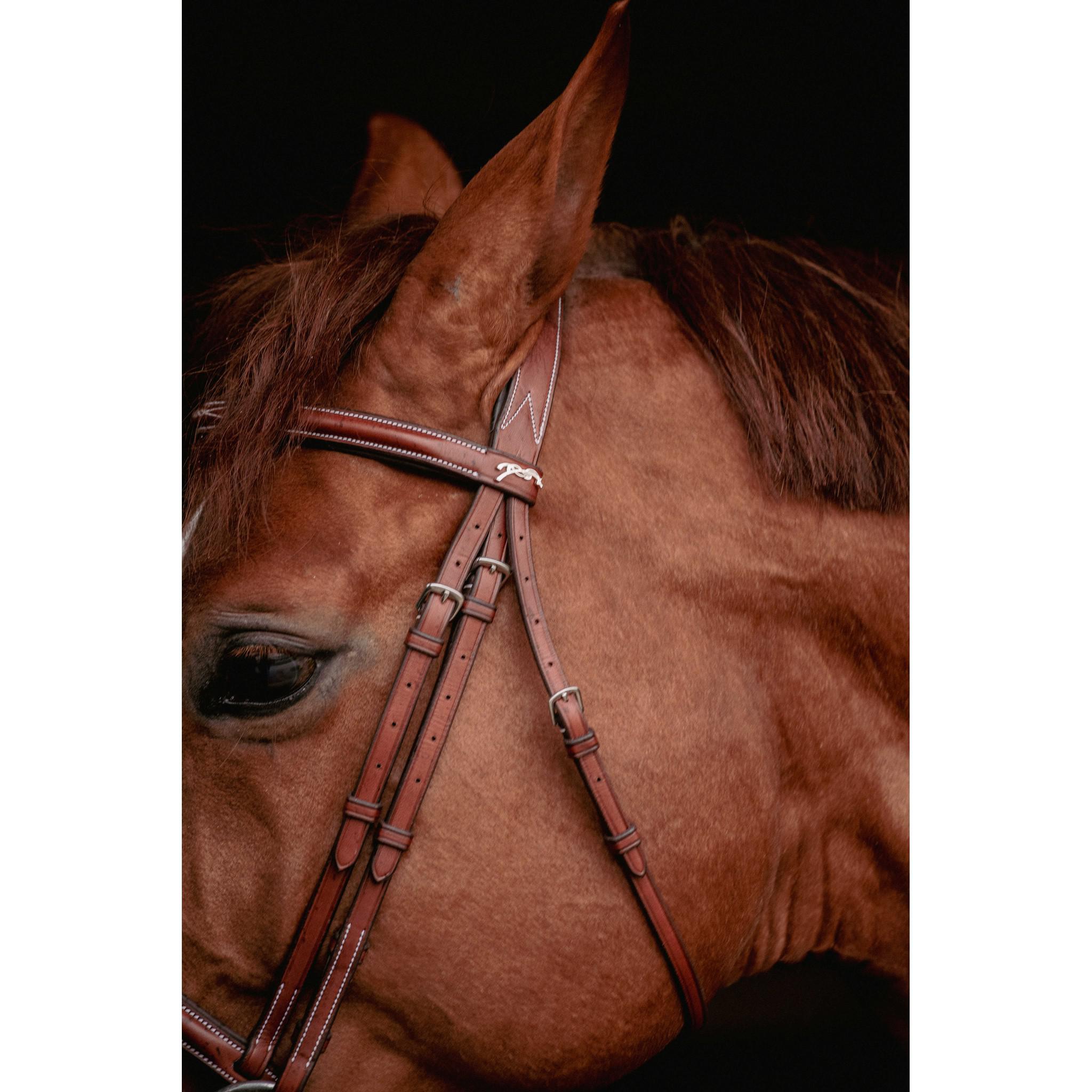 Pénélope Hunter US Bridle Chestnut 301610304