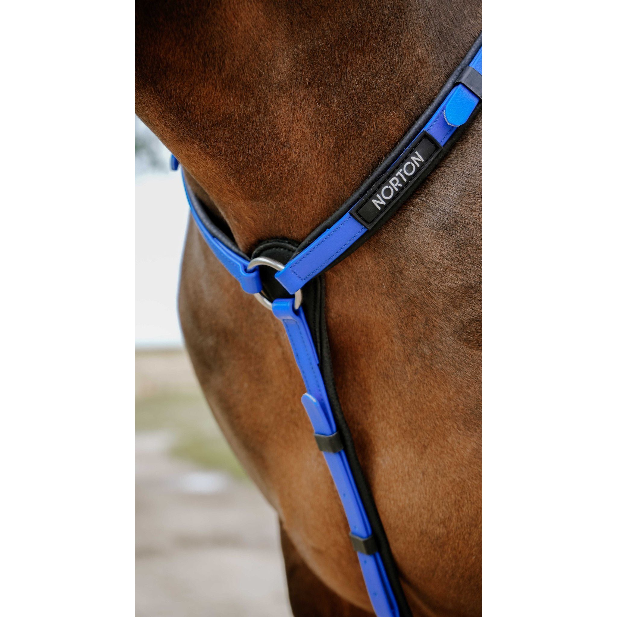 Norton Pop Breastplate Royal blue 306617306