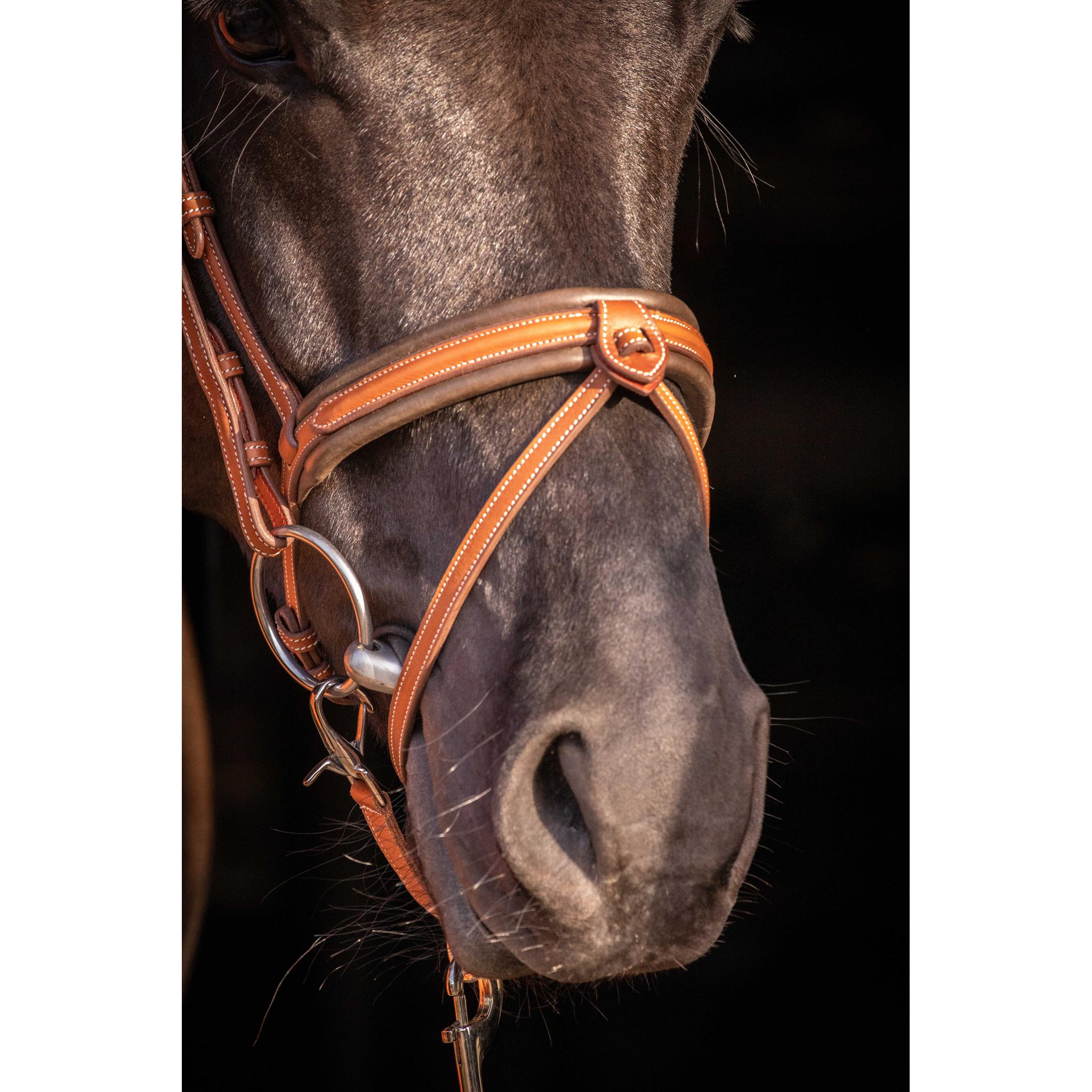Penelope Elegance Bridle Cognac - 301605314_ambi_14