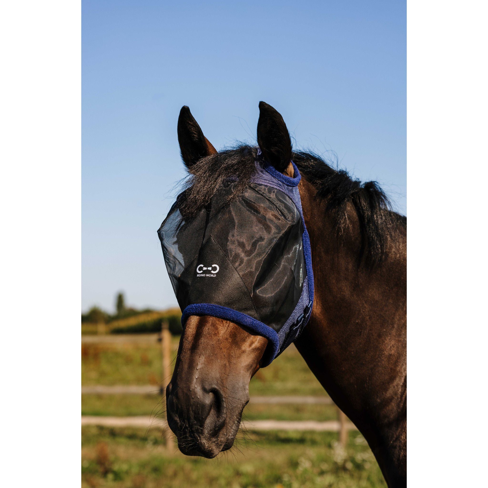 Riding World First Fly Mask - Without Ears Navy blue 306099301
