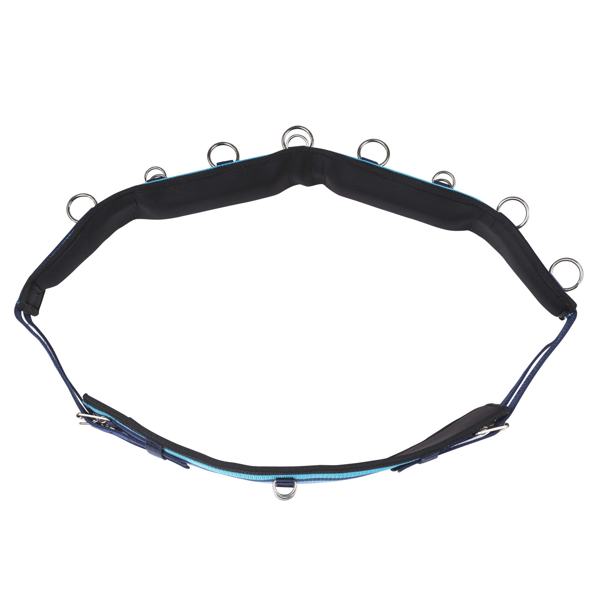 Synthetic lunging surcingle Turquoise/navy/light blue 401031307