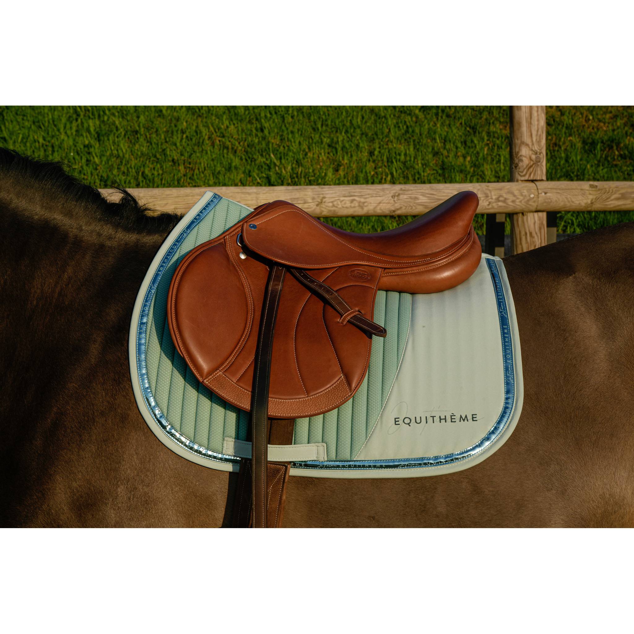 EQUITHÈME Talent All-Purpose Saddle Pad Light green - 204511008_ambi_1